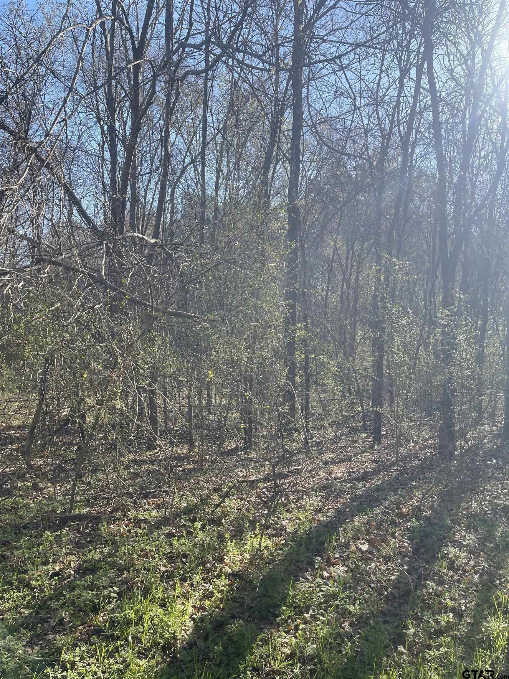 2.39 acres in Smith County featured view