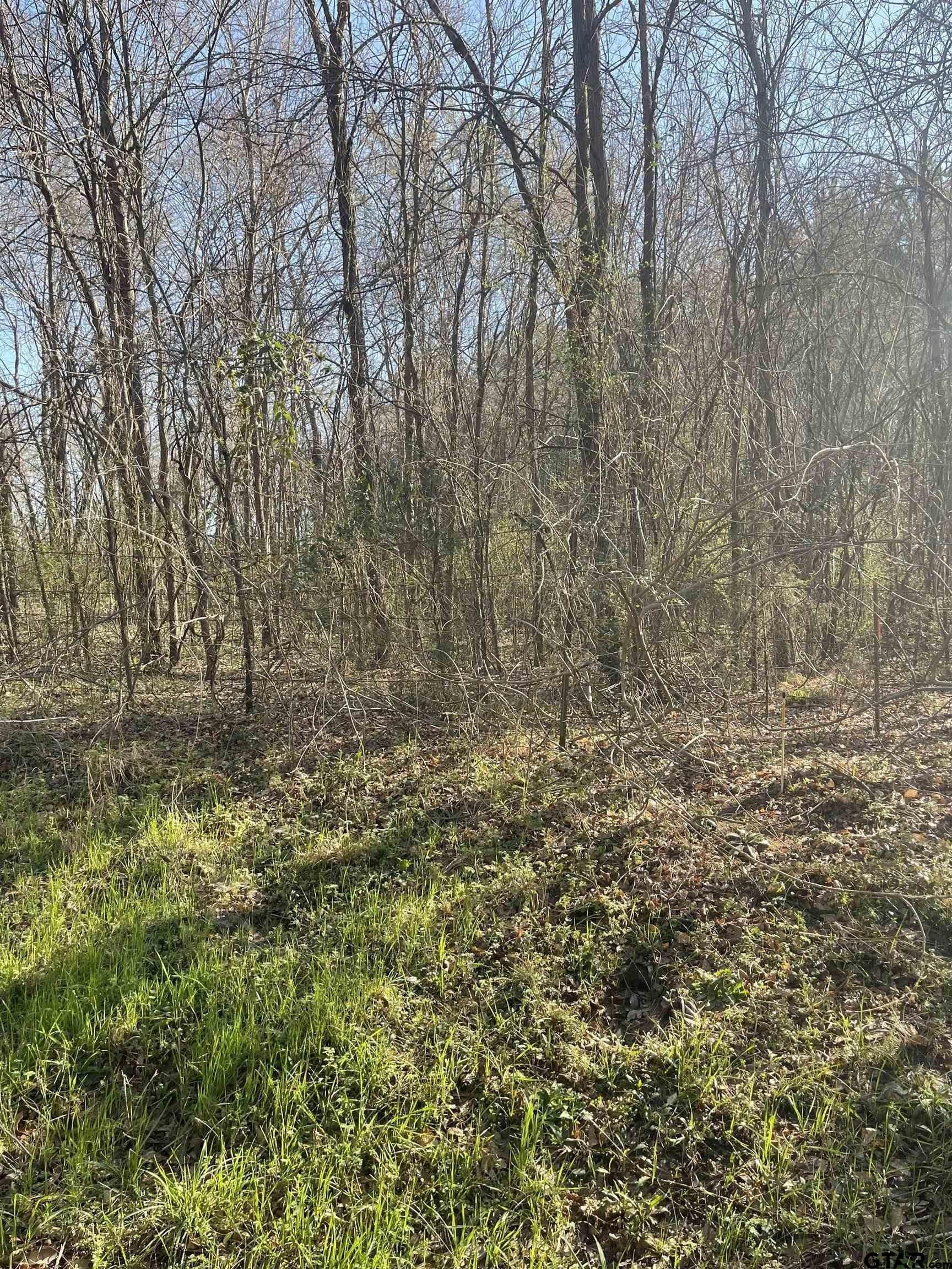 2.39 acres in Smith County gallery image 2