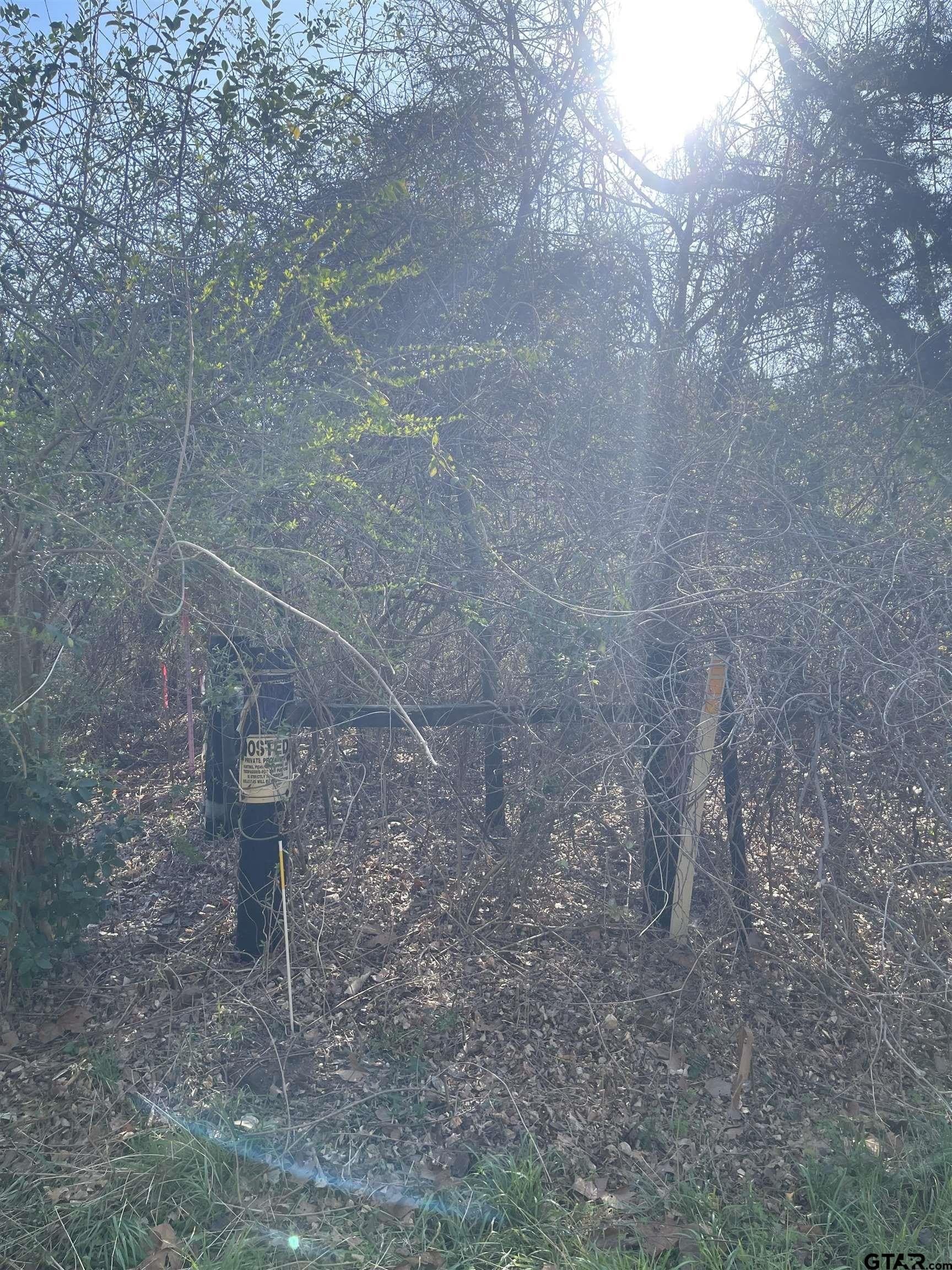 2.39 acres in Smith County gallery image 4