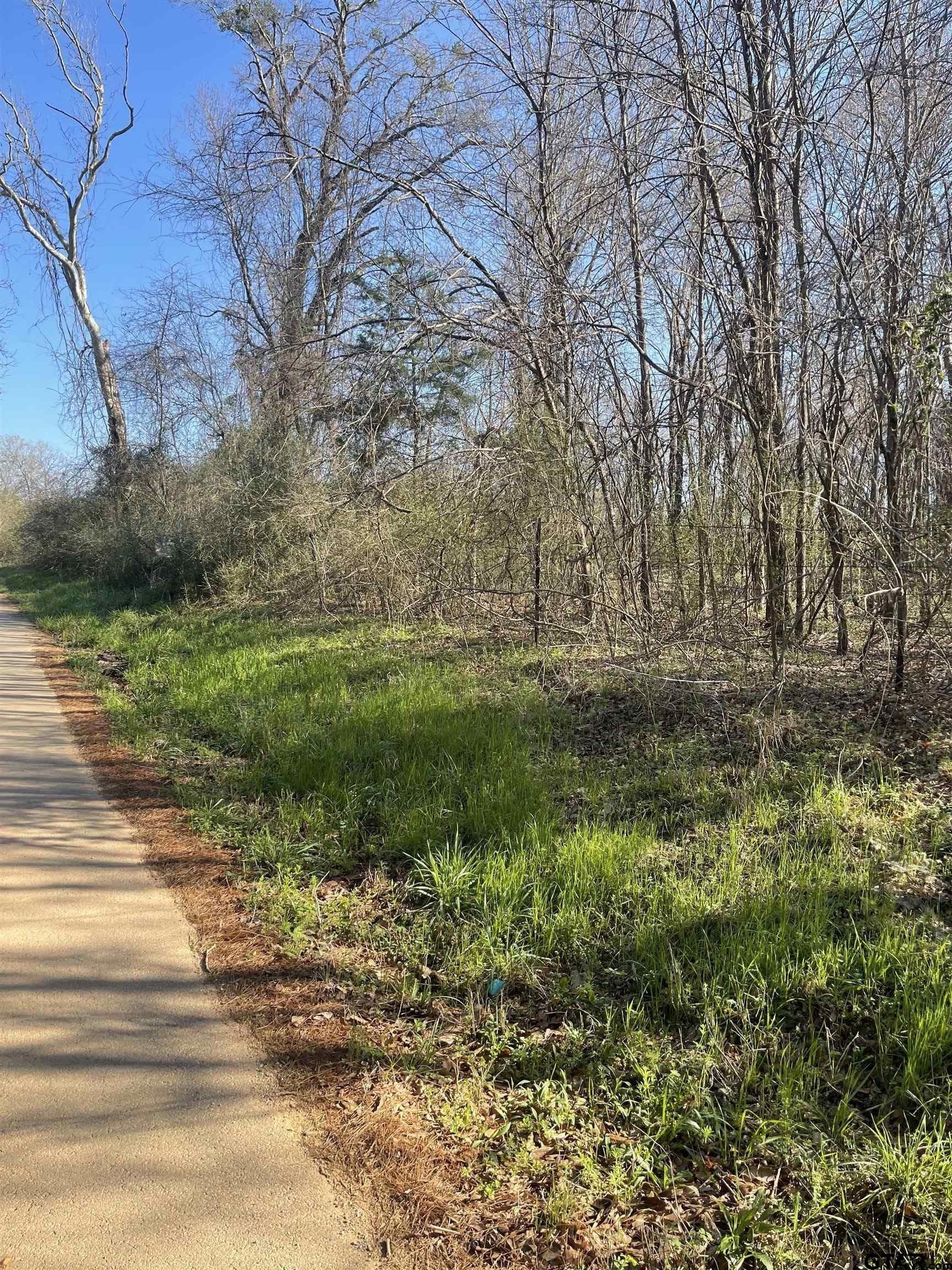 2.39 acres in Smith County