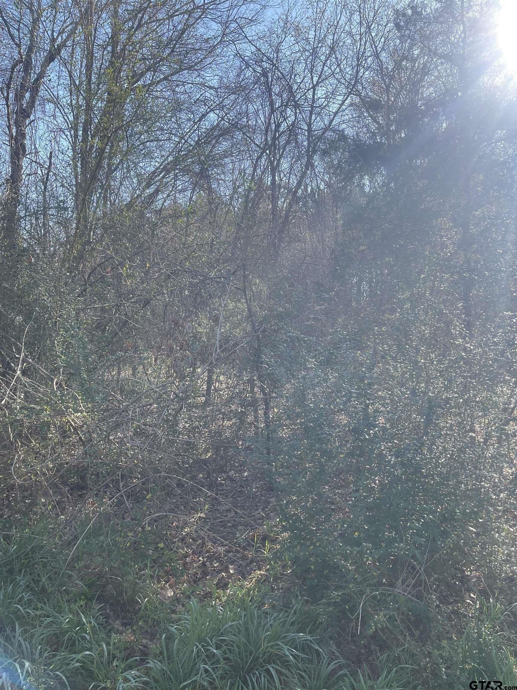 2.39 acres in Smith County gallery image 3