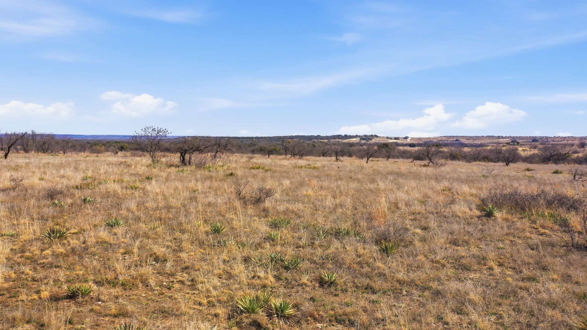 10.01 acres in Comanche County - photo 17