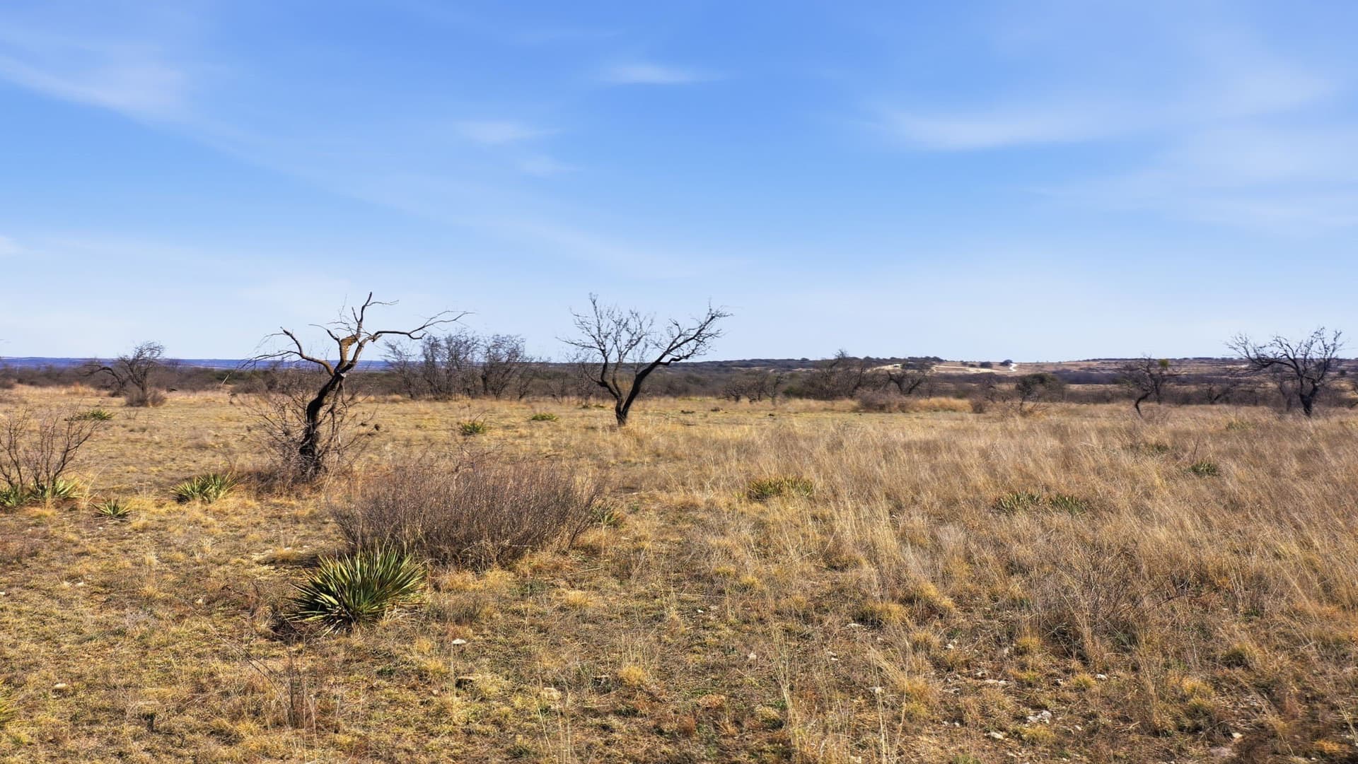 10.01 acres in Comanche County - photo 20