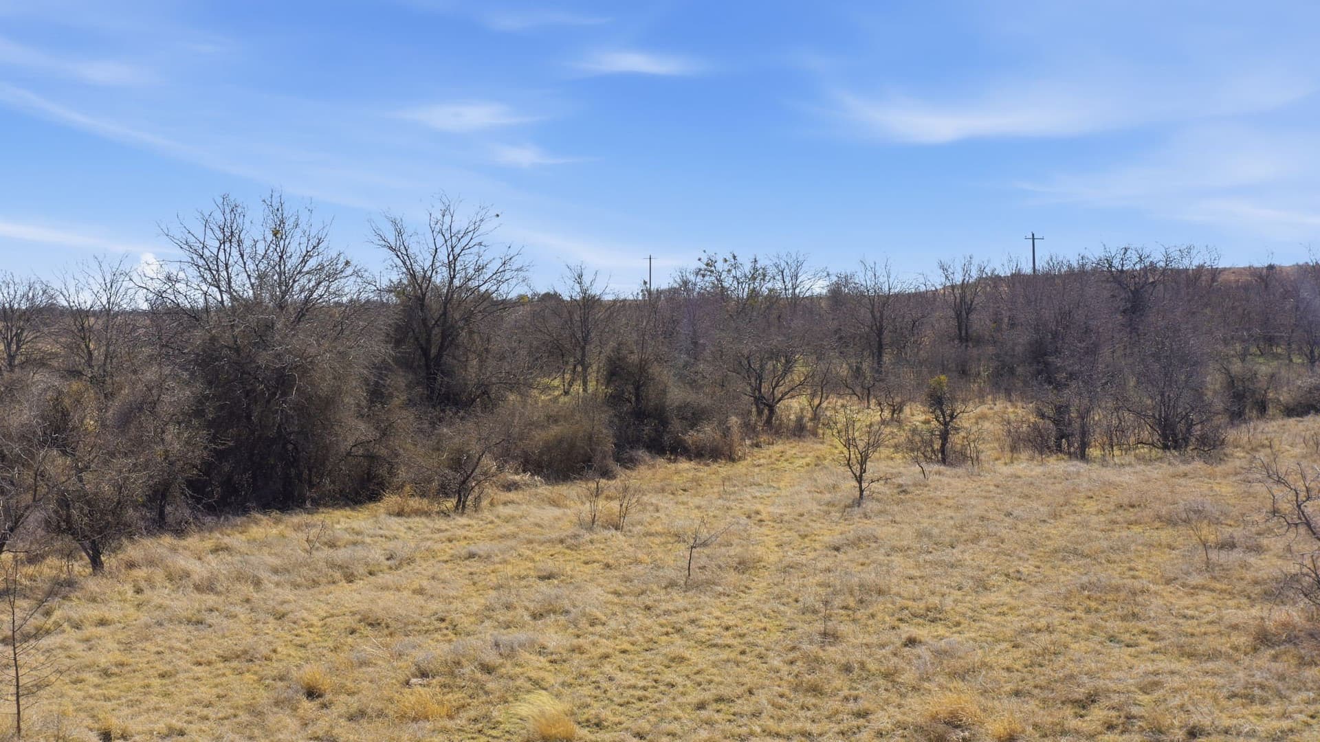 10.01 acres in Comanche County - photo 12