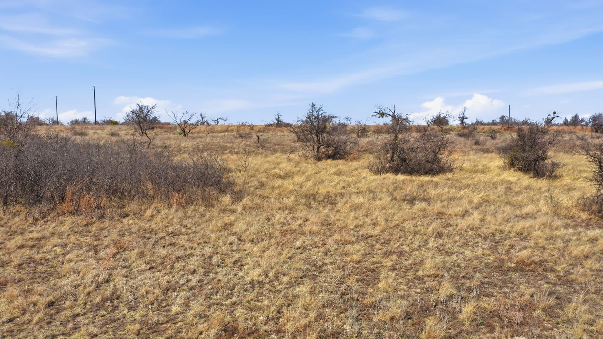 10.01 acres in Comanche County - photo 15
