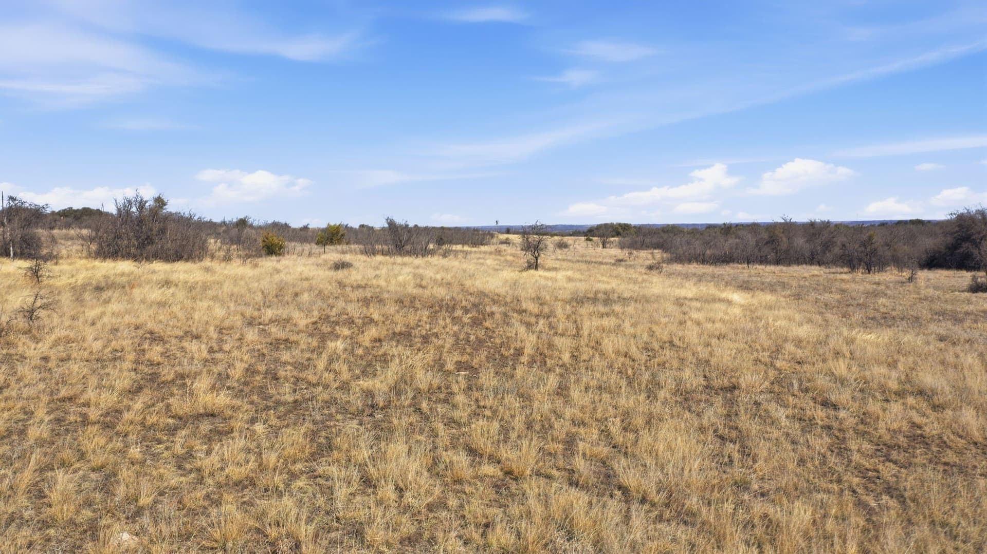 10.01 acres in Comanche County - photo 14