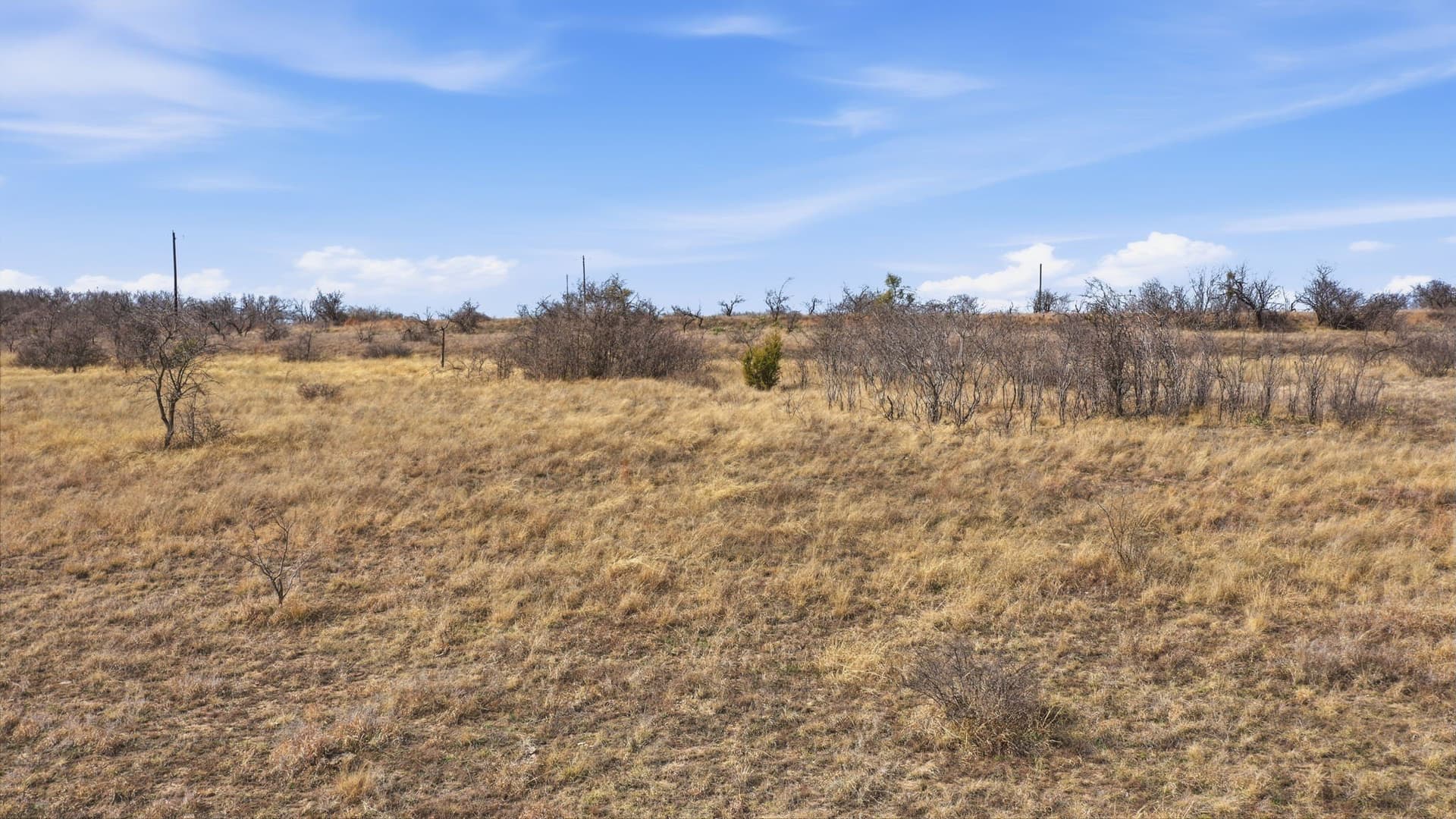 10.01 acres in Comanche County - photo 10