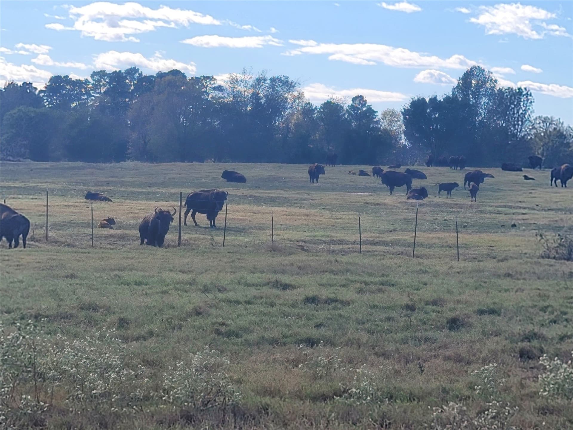 16.9 acres in Upshur County - photo 13