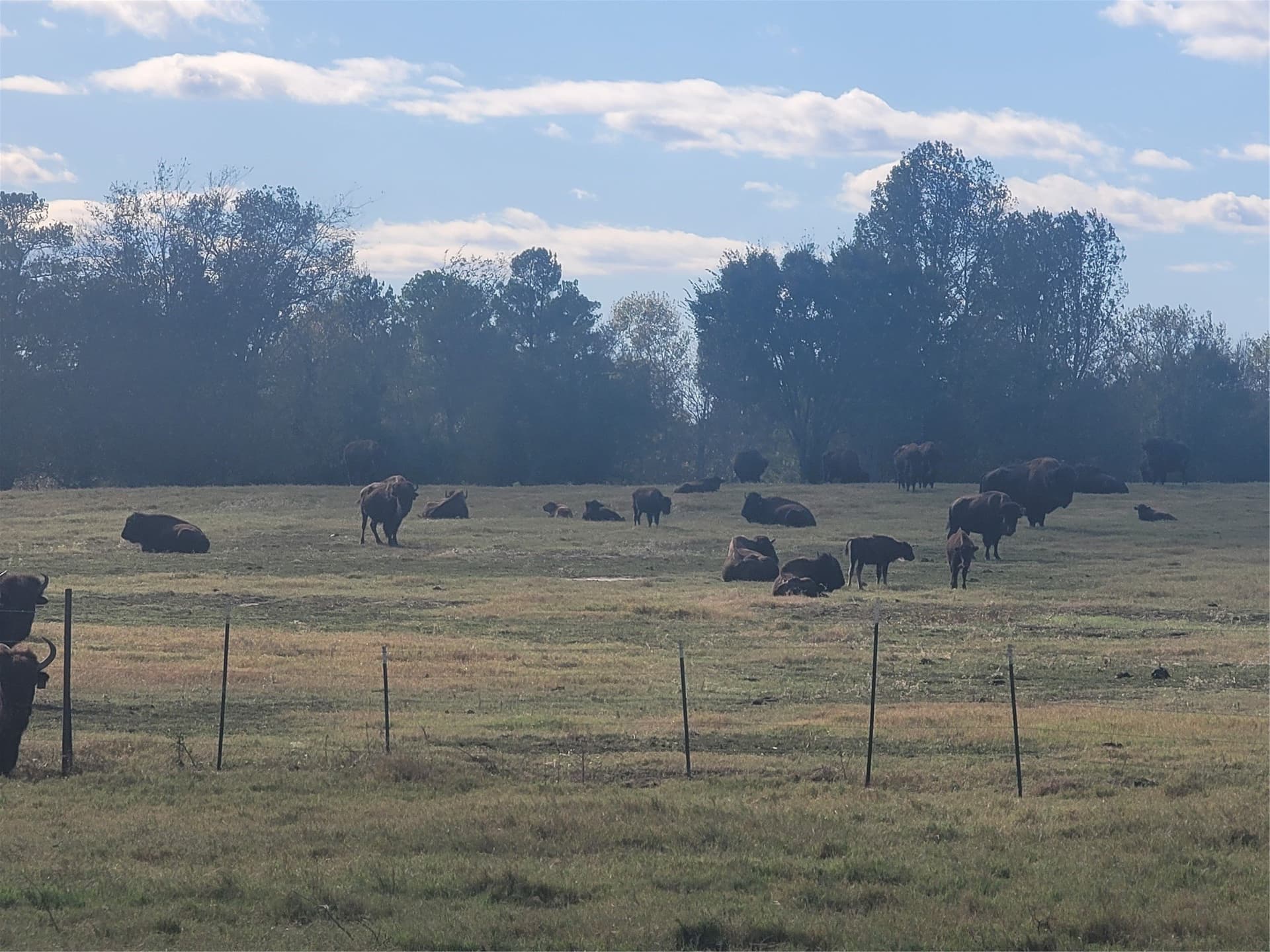 16.9 acres in Upshur County - photo 8