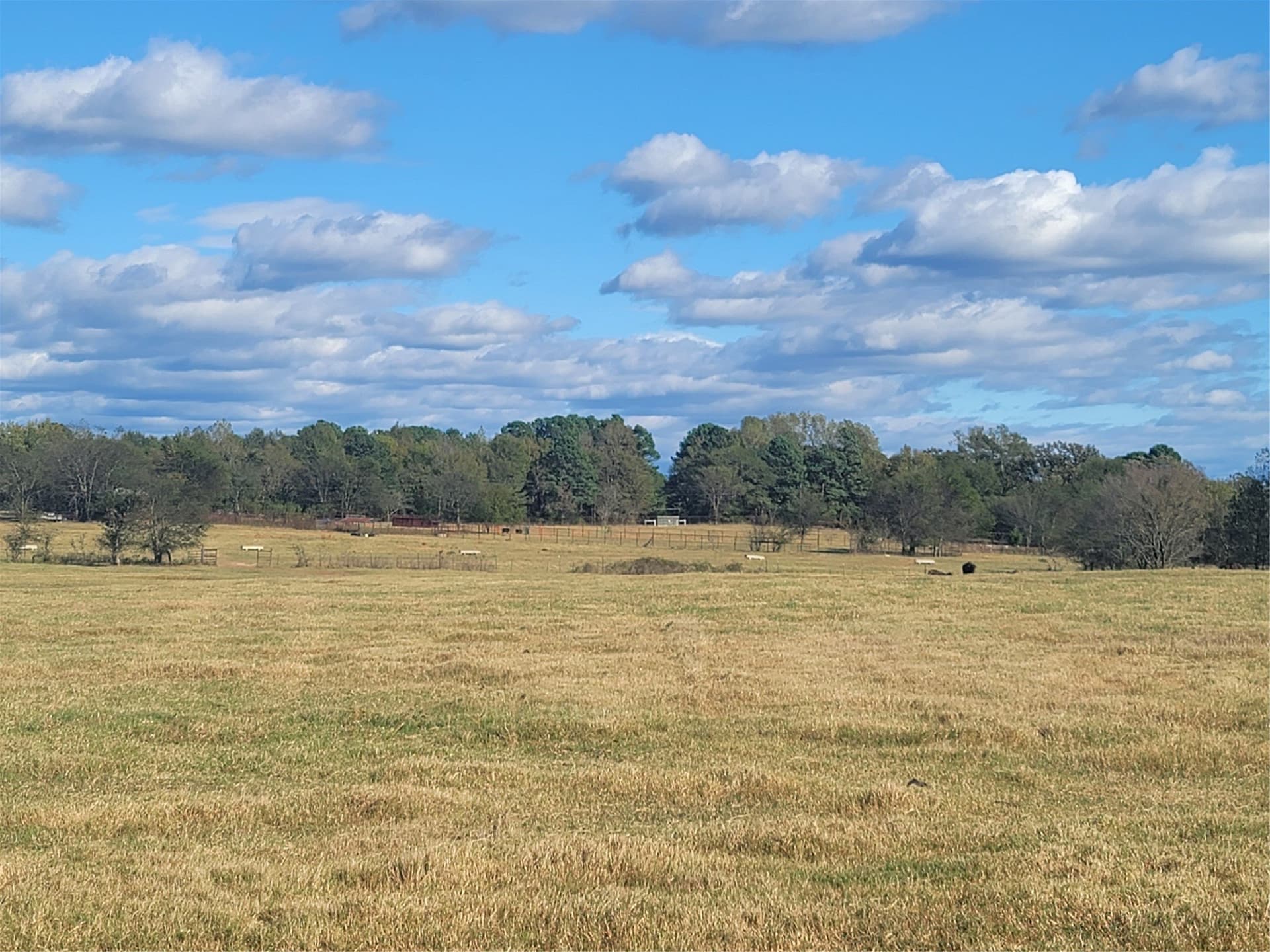 16.9 acres in Upshur County - photo 6