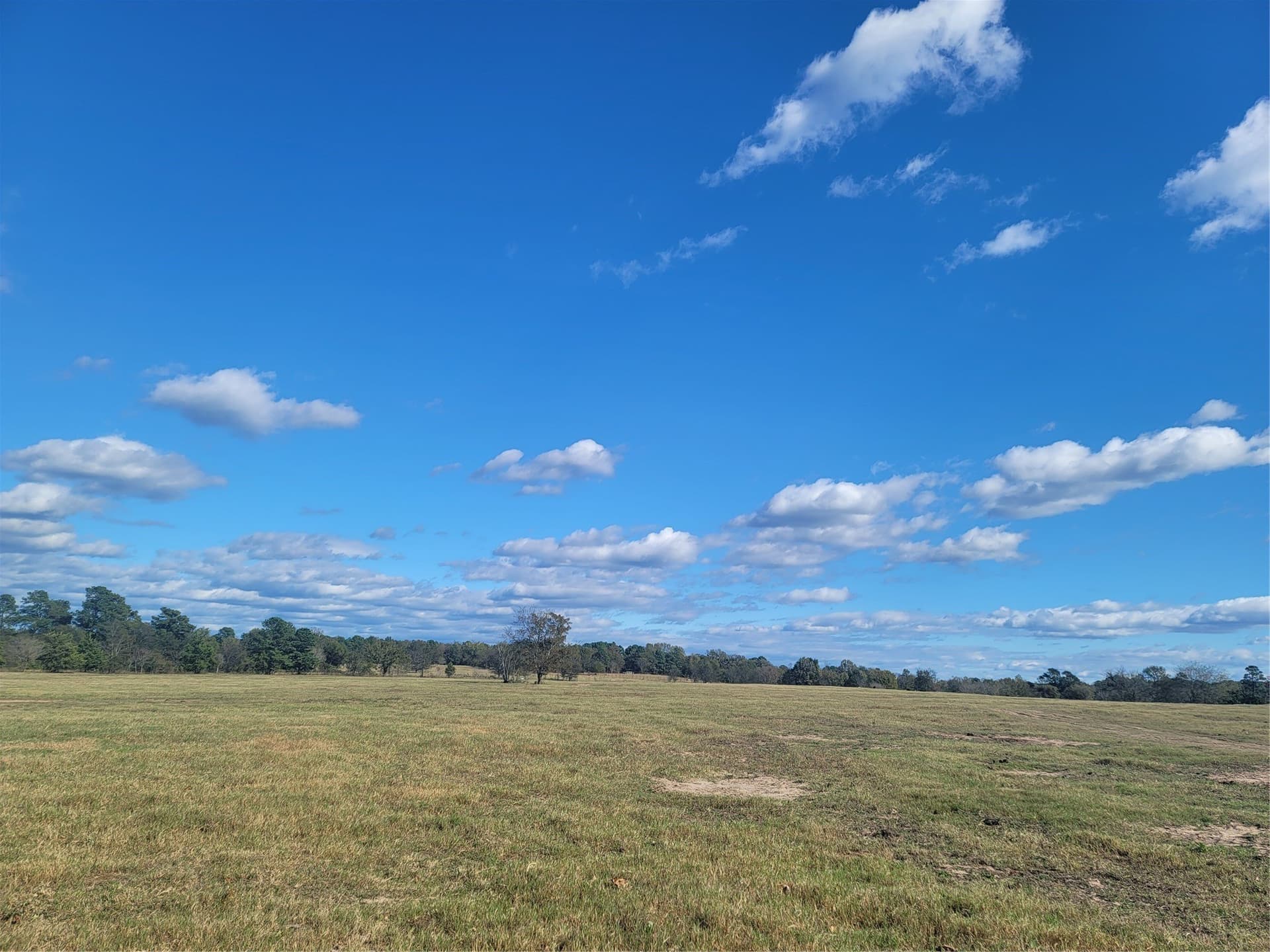 16.9 acres in Upshur County - photo 10
