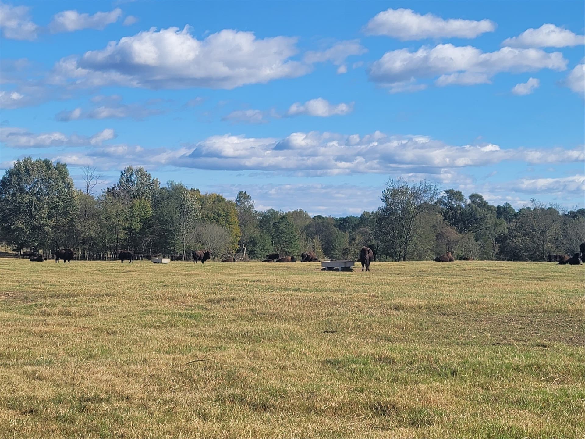16.9 acres in Upshur County - photo 11