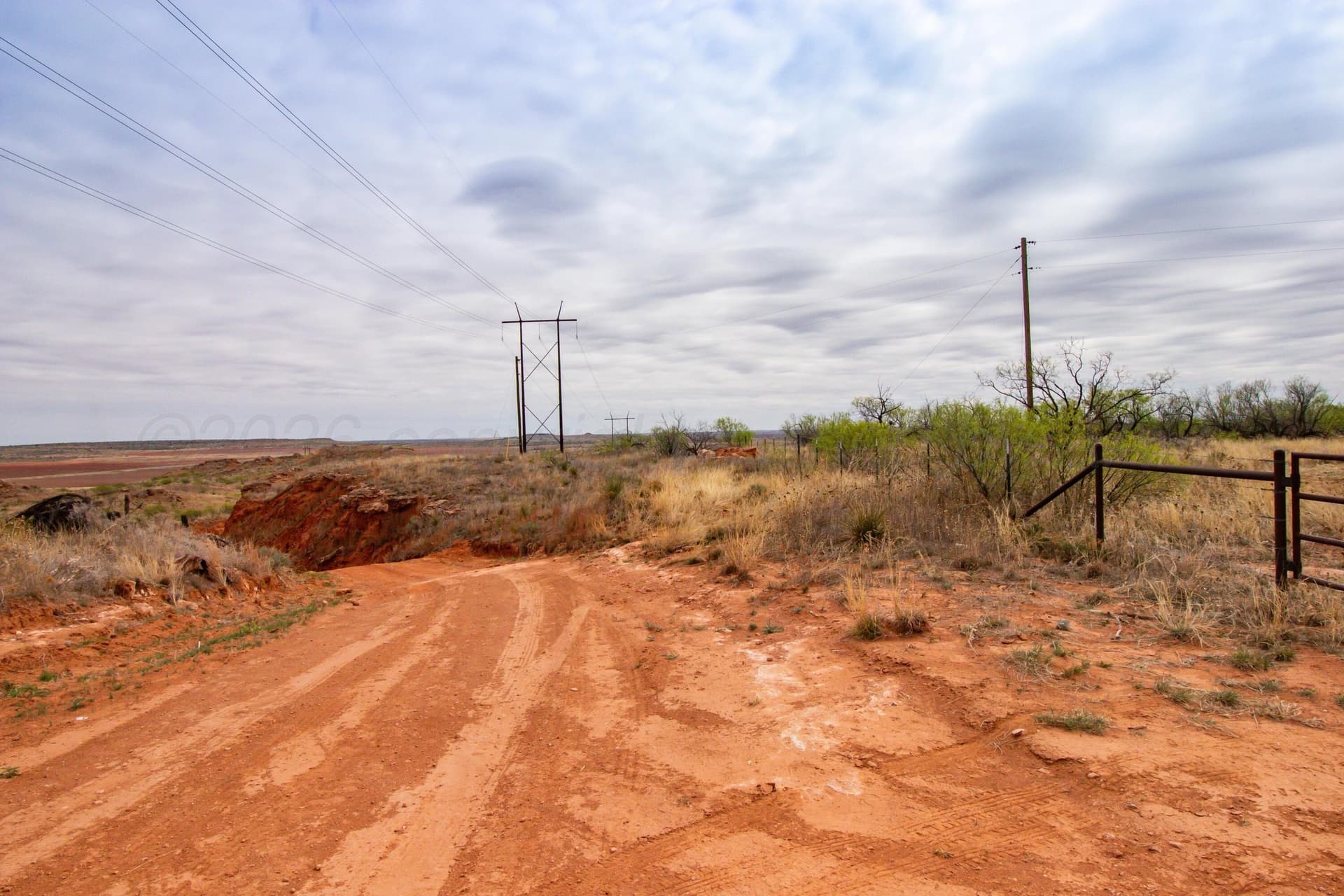 160 acres in Hall County gallery image 4