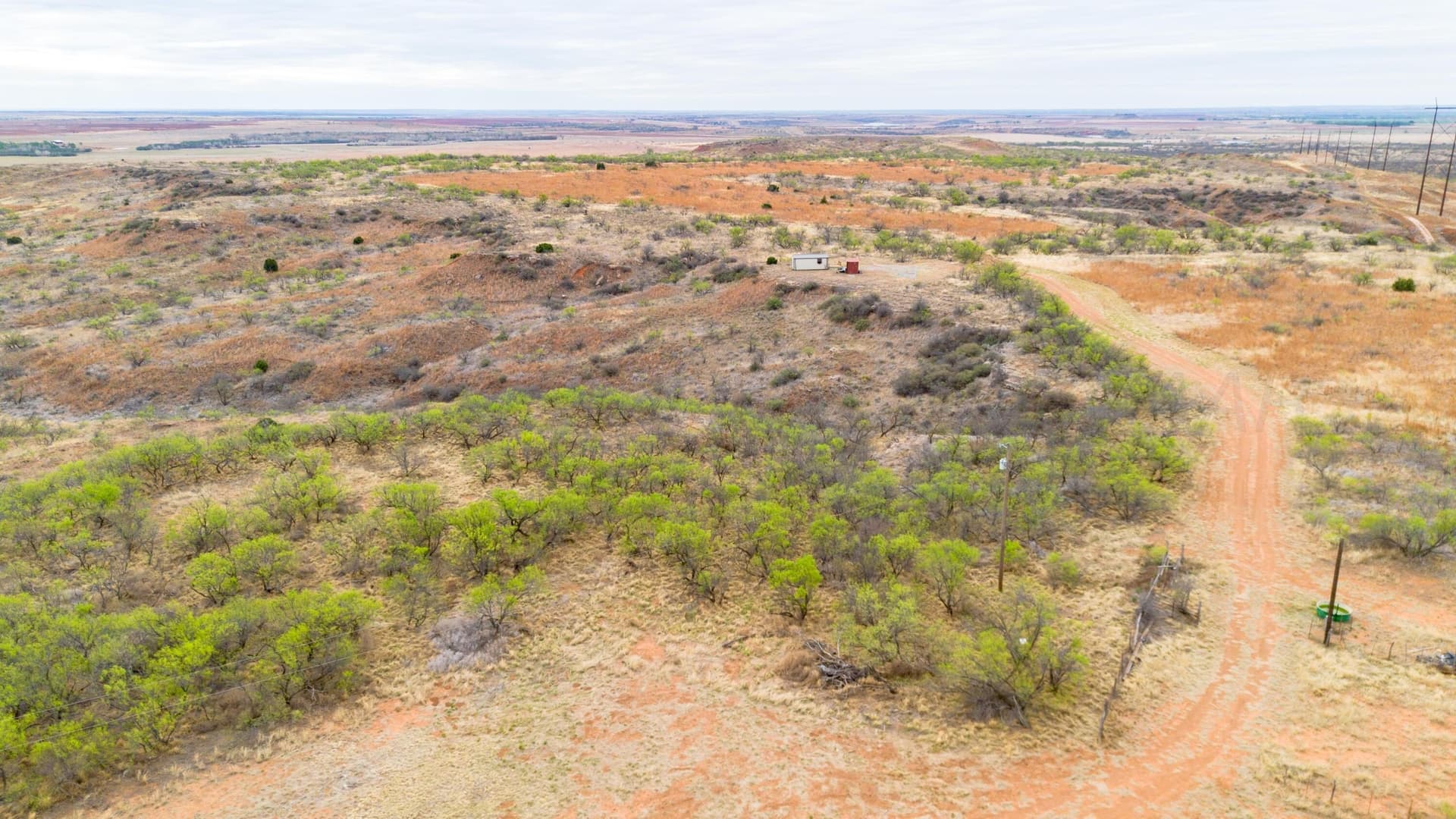 160 acres in Hall County gallery image 3