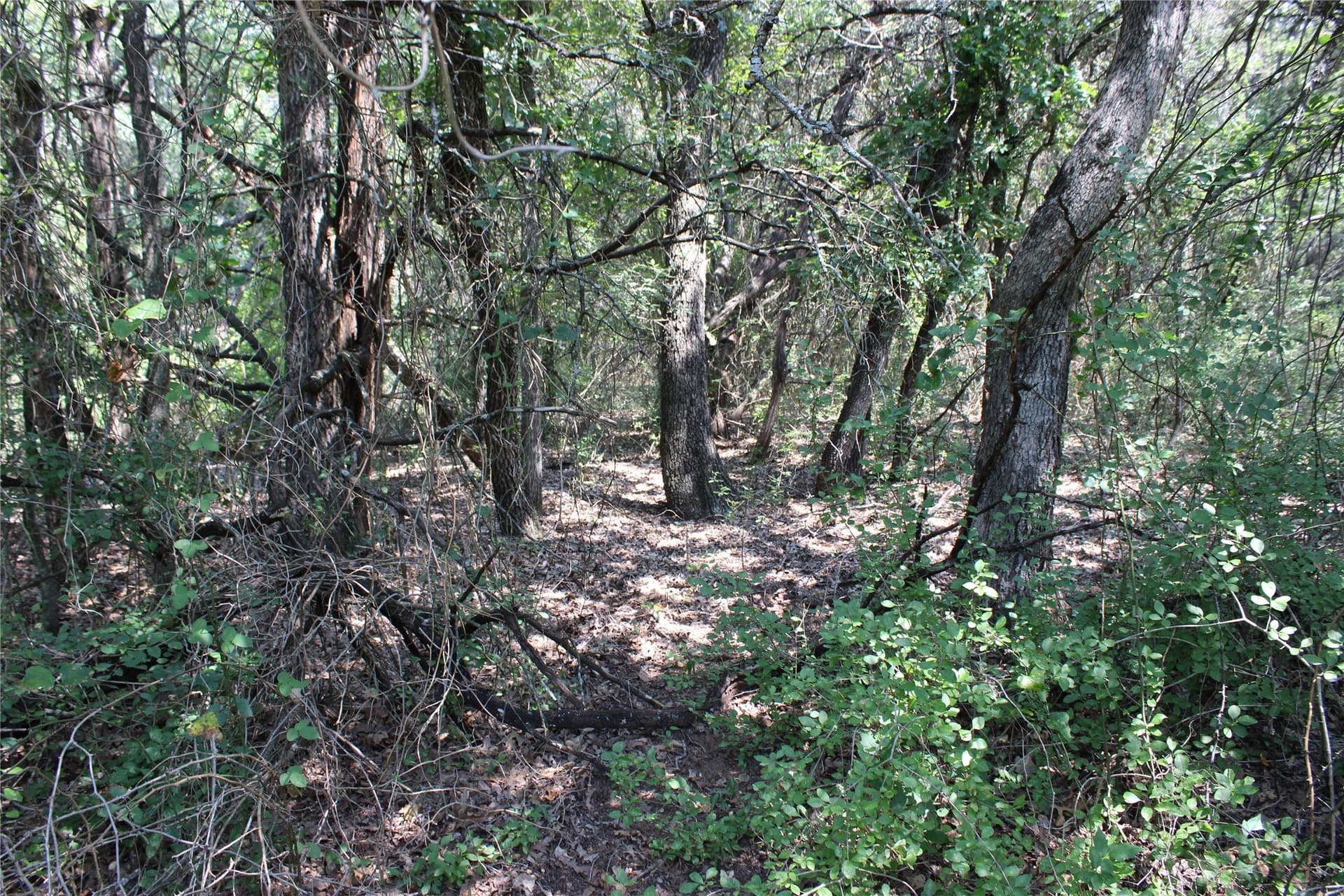 0.26 acres in Hill County gallery image 4
