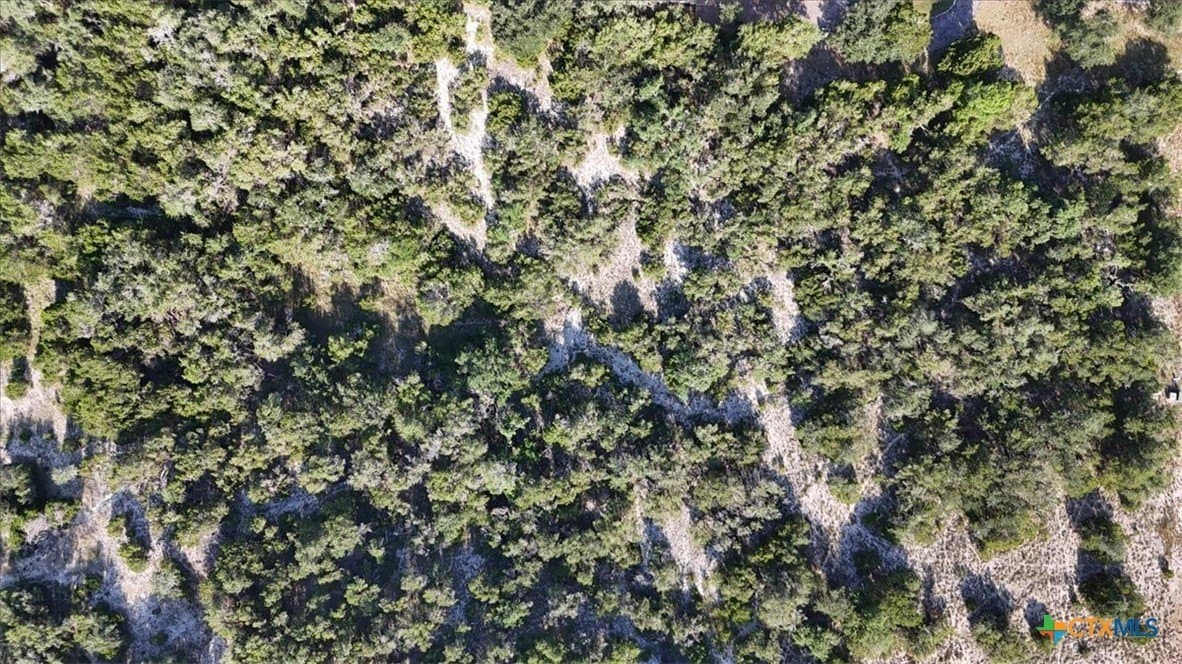2.1 acres in Comal County - photo 9