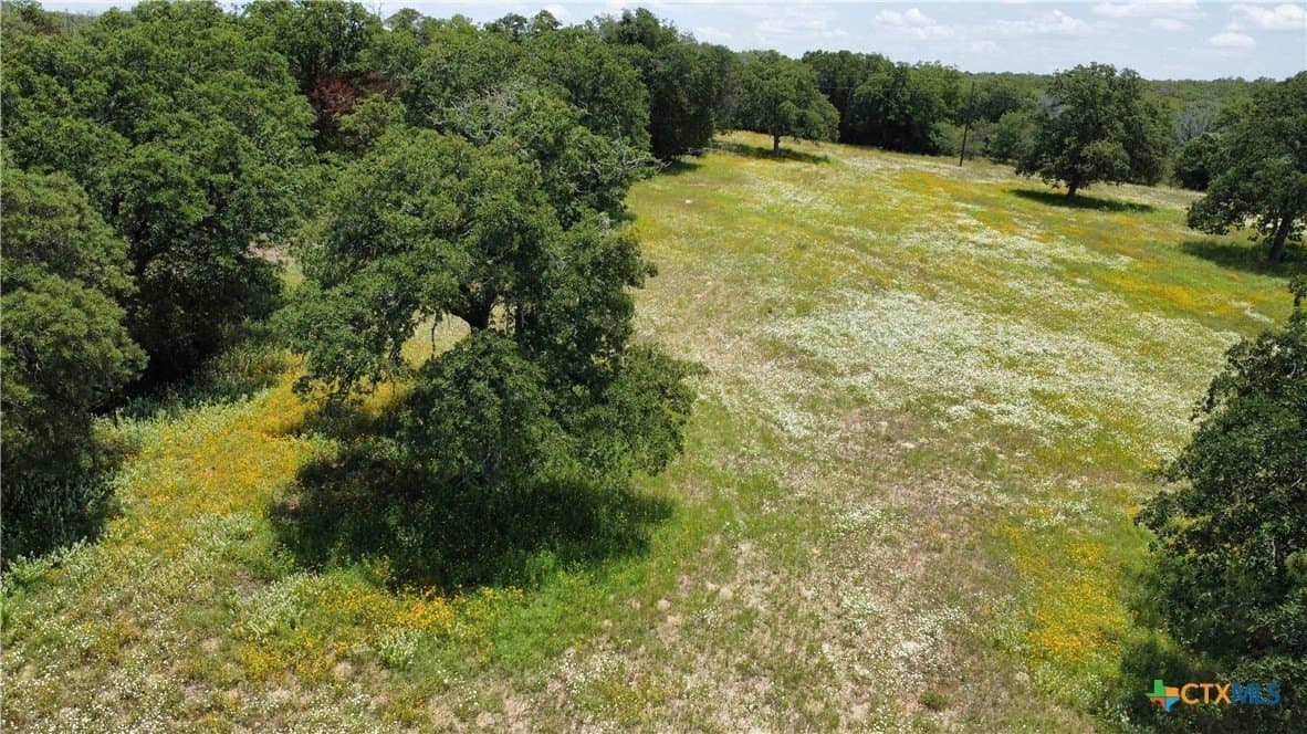 12.92 acres in Bastrop County - photo 30