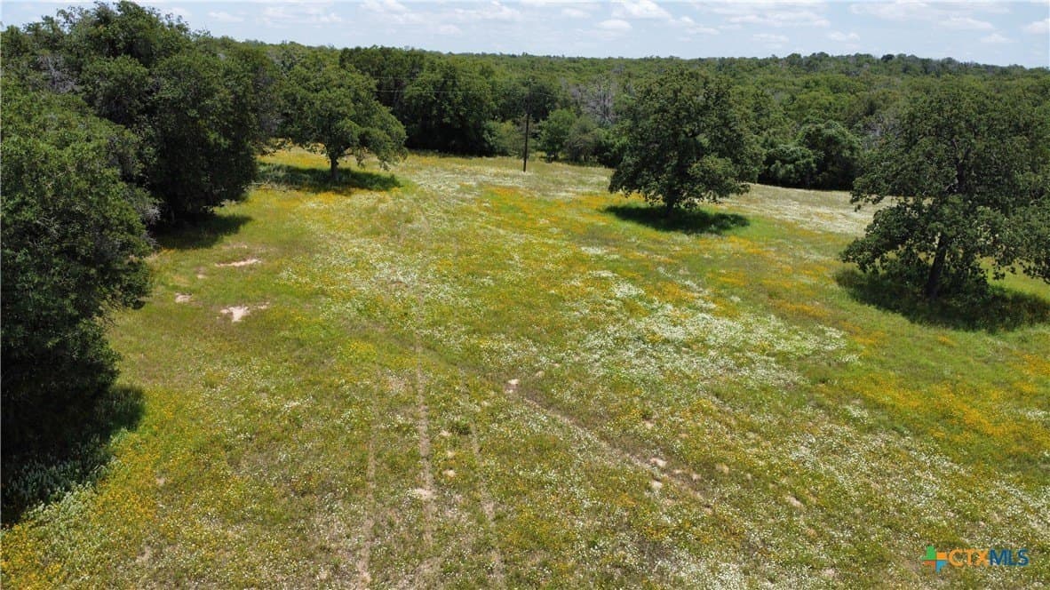 12.92 acres in Bastrop County - photo 29