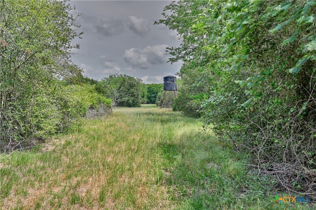 107.46 acres in Bastrop County - photo 15