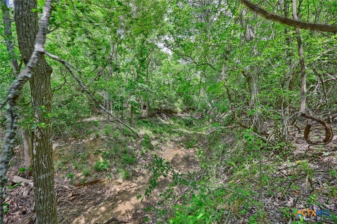 107.46 acres in Bastrop County - photo 16