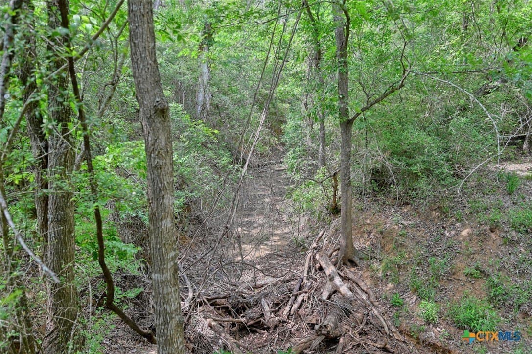107.46 acres in Bastrop County - photo 17