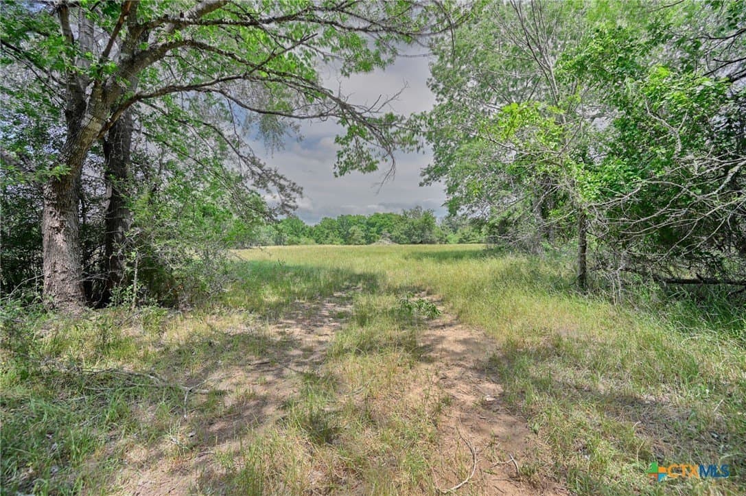 107.46 acres in Bastrop County - photo 10