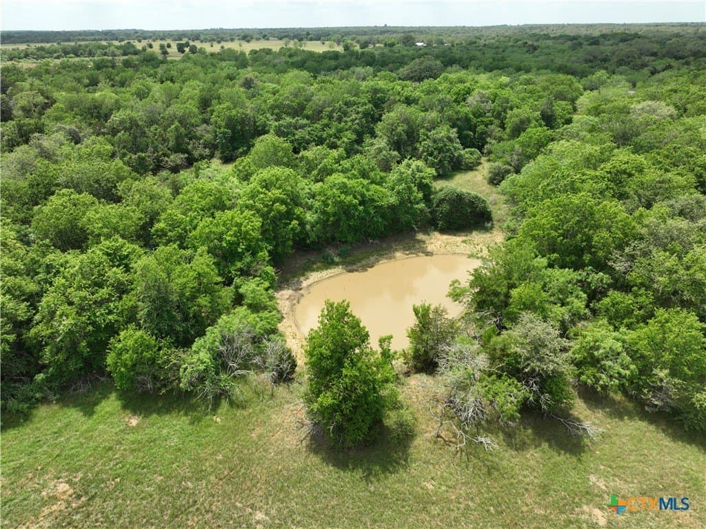 107.46 acres in Bastrop County - photo 8