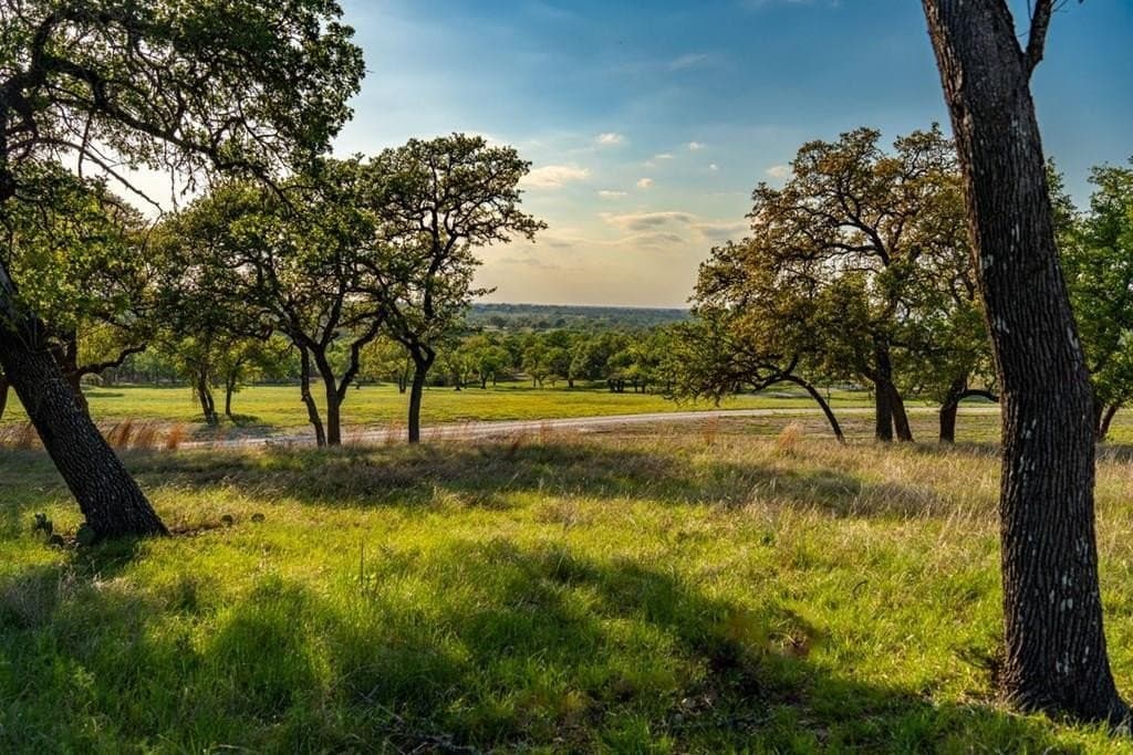116 acres in Kendall County gallery image 2
