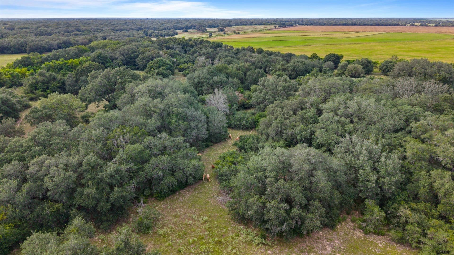 211 acres in Wharton County - photo 22