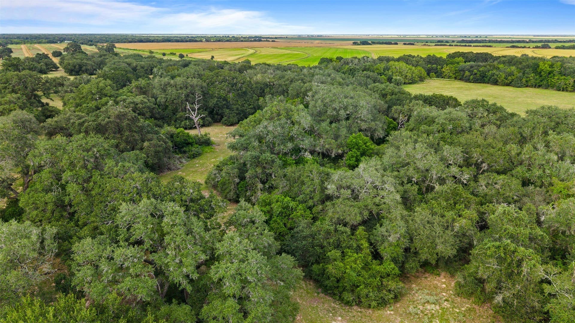 211 acres in Wharton County - photo 16