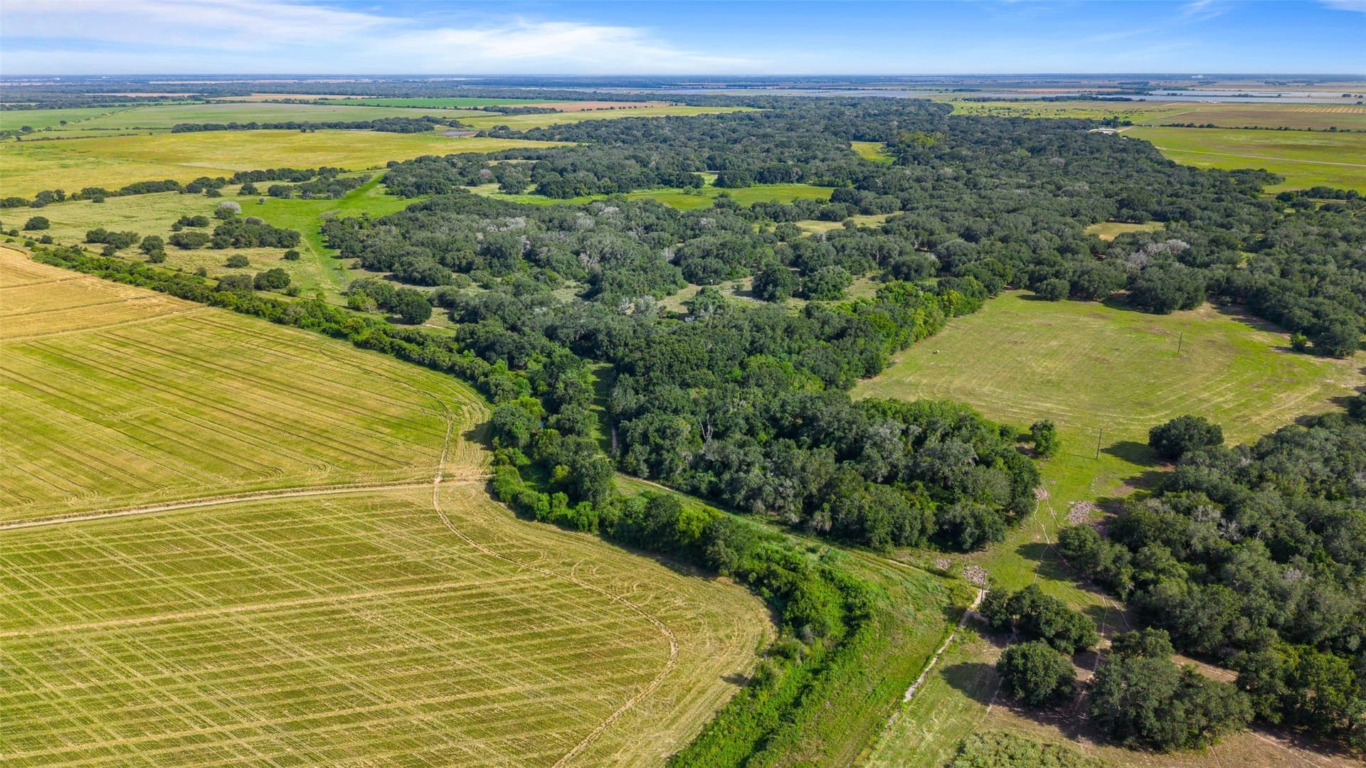 211 acres in Wharton County - photo 3