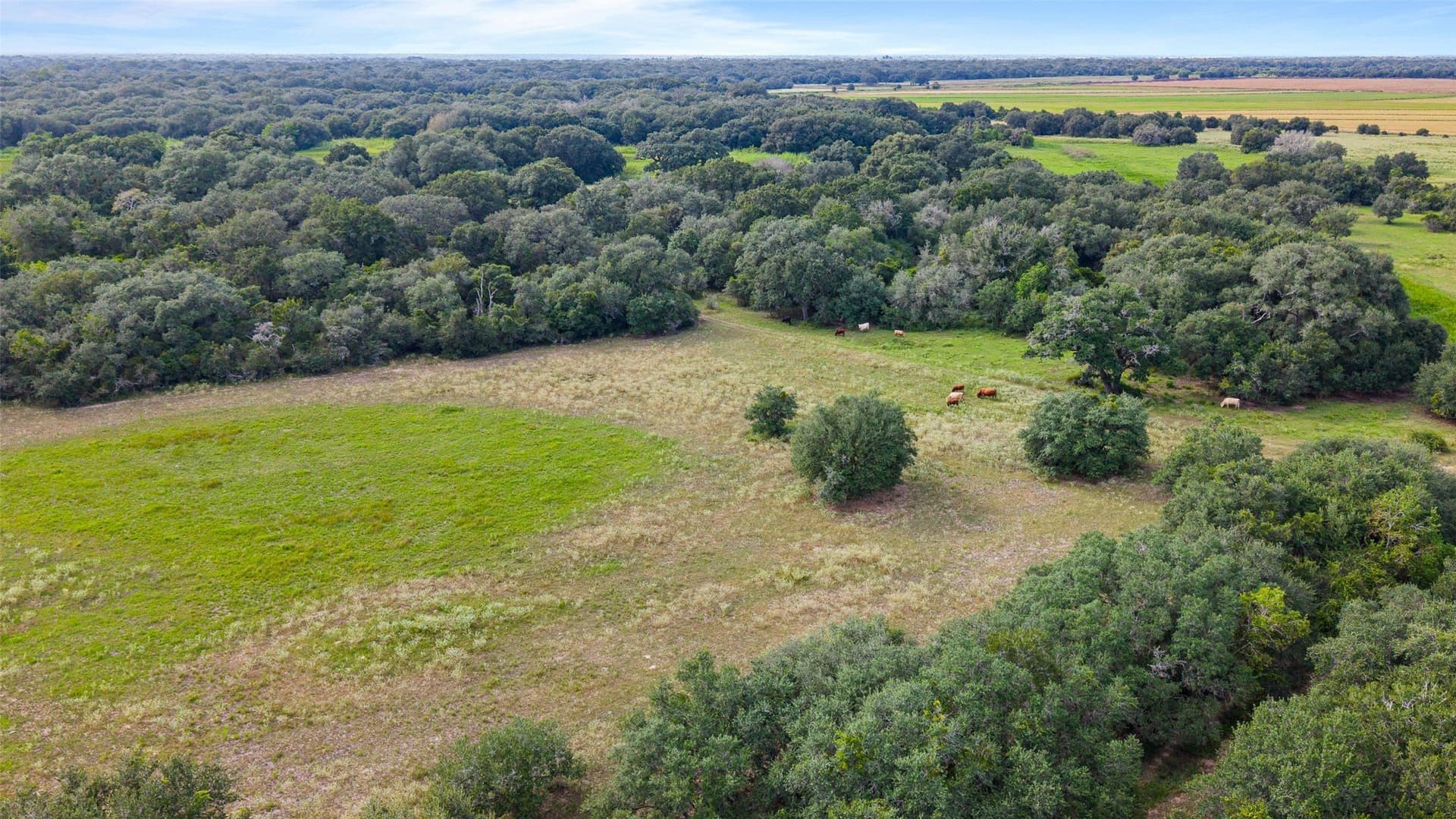 211 acres in Wharton County - photo 15