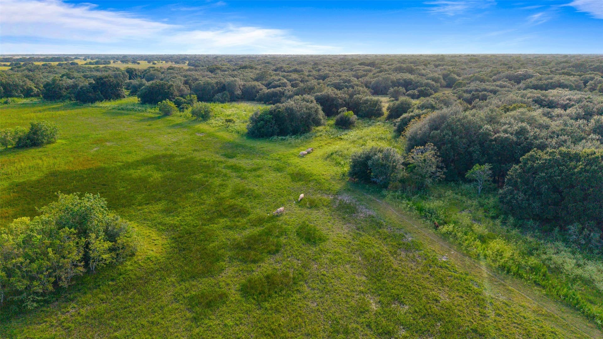 211 acres in Wharton County - photo 39