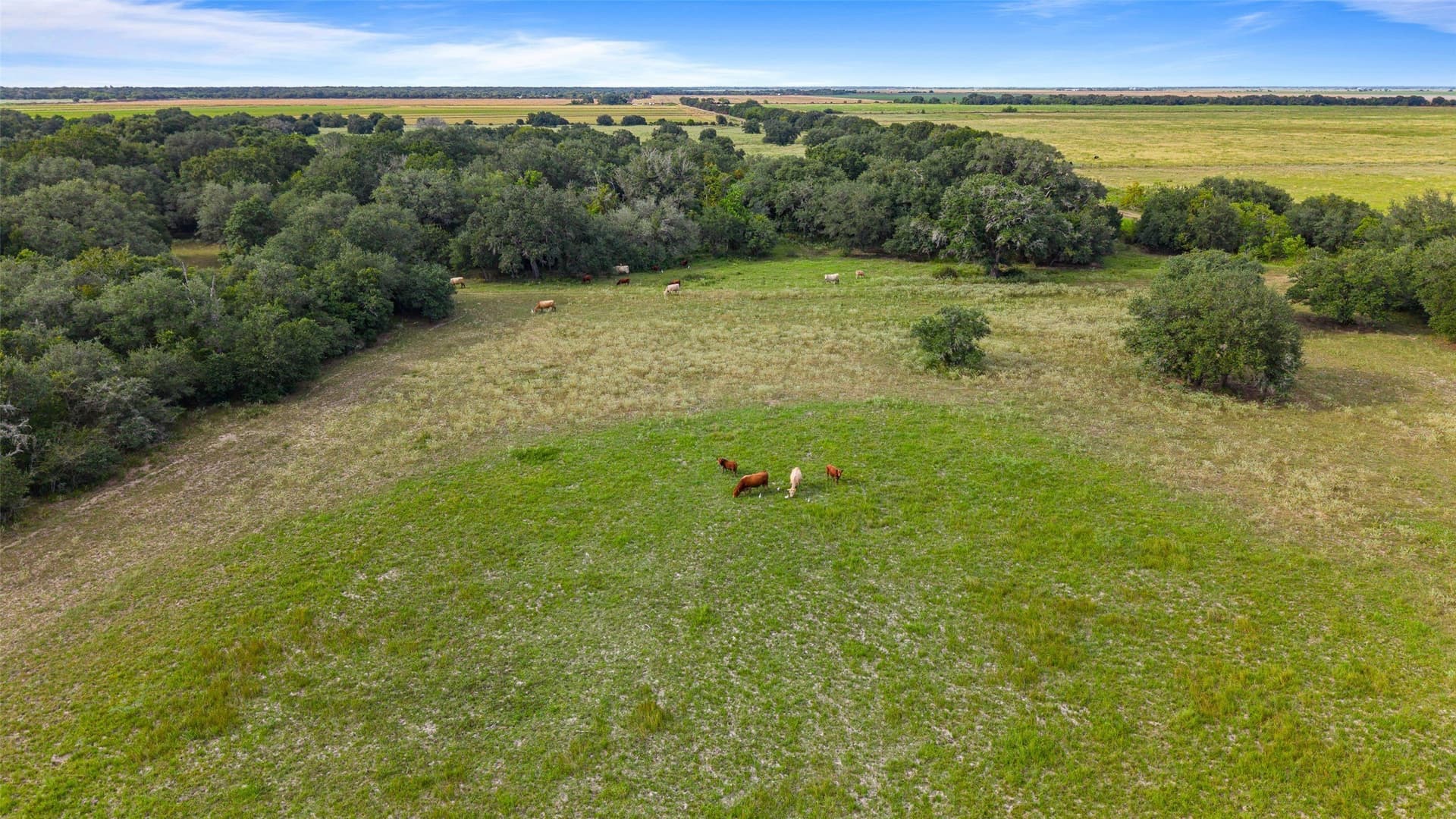 211 acres in Wharton County - photo 21