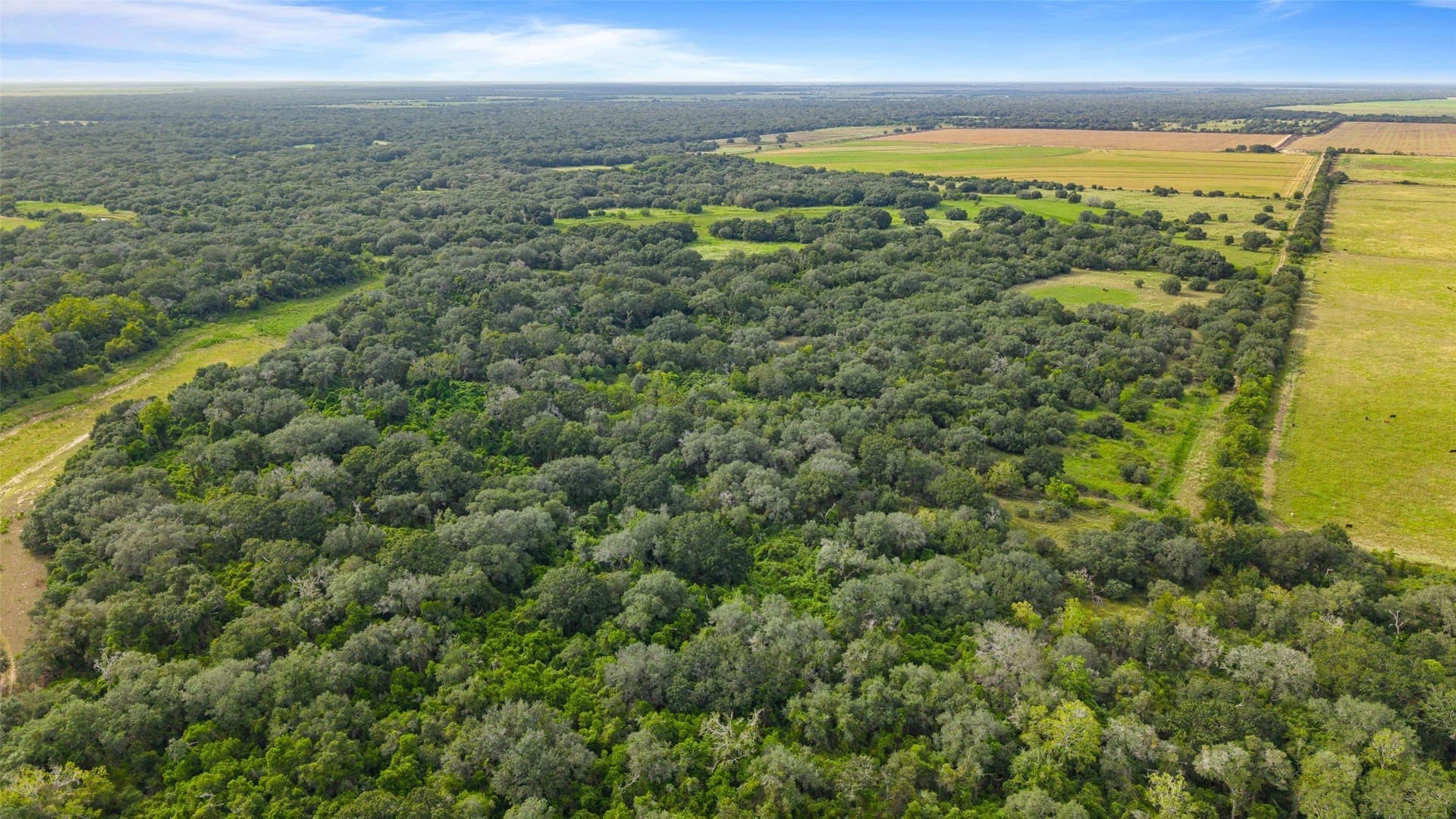 211 acres in Wharton County - photo 20