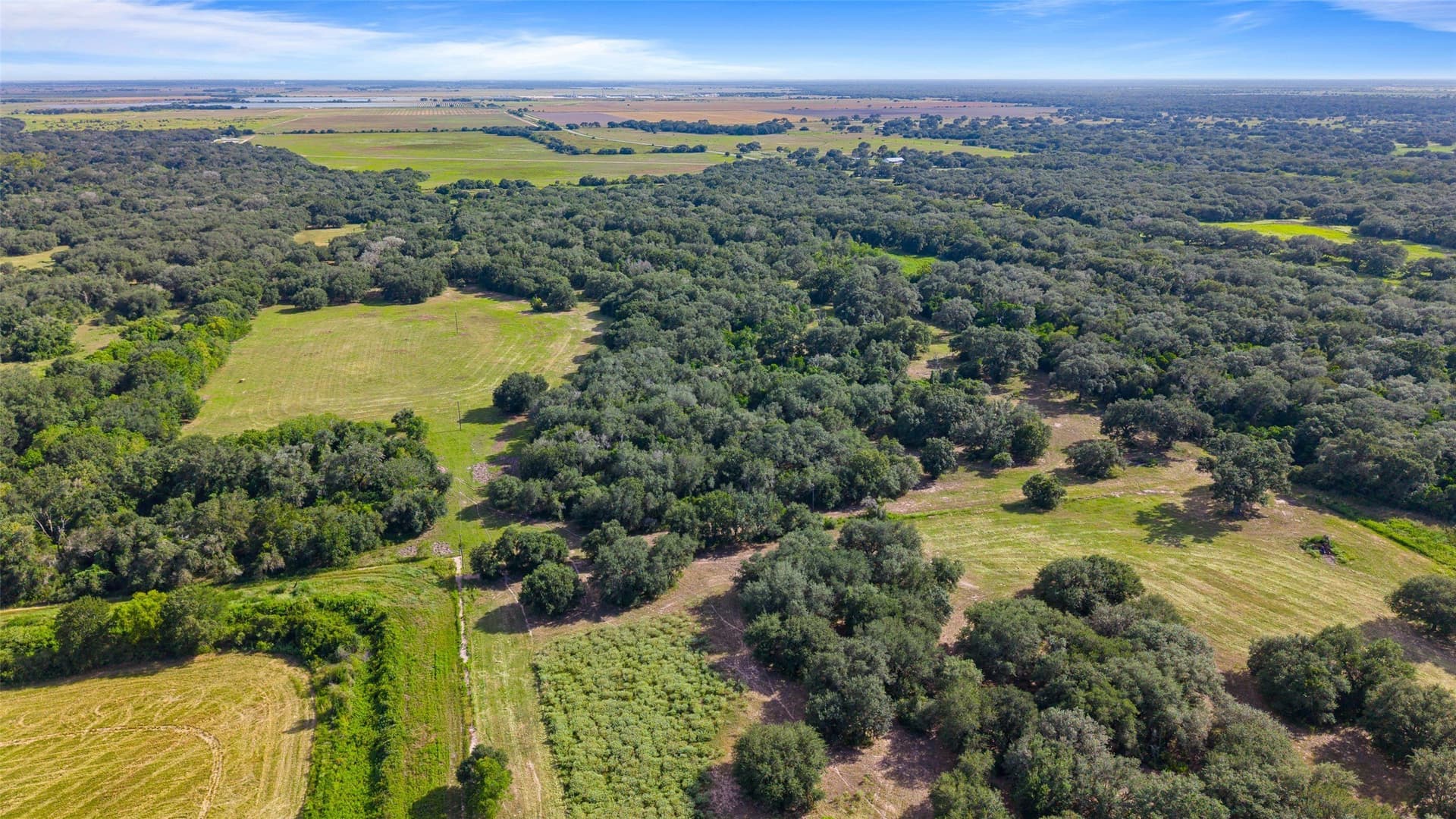 211 acres in Wharton County - photo 4
