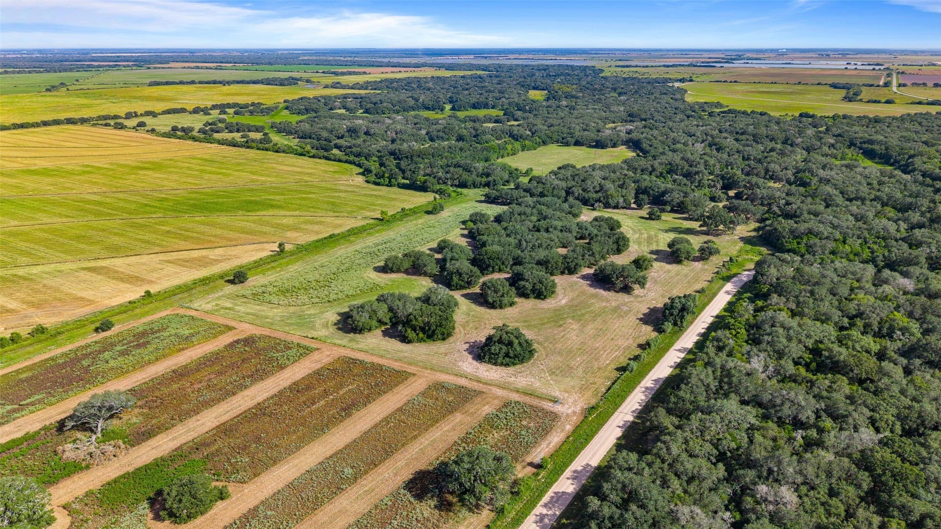 211 acres in Wharton County - photo 6
