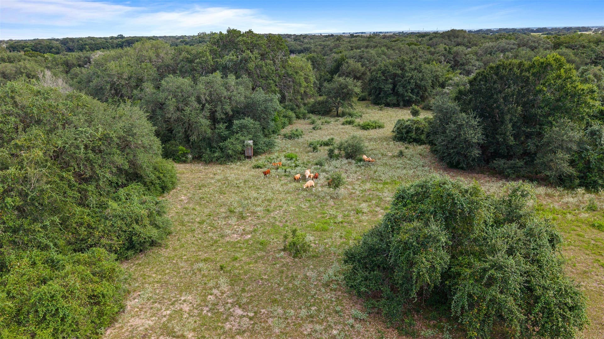 211 acres in Wharton County - photo 23
