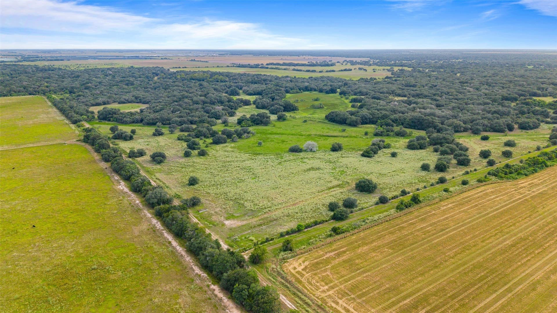 211 acres in Wharton County - photo 7