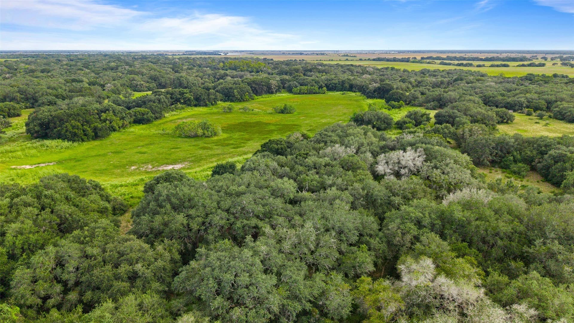 211 acres in Wharton County - photo 8