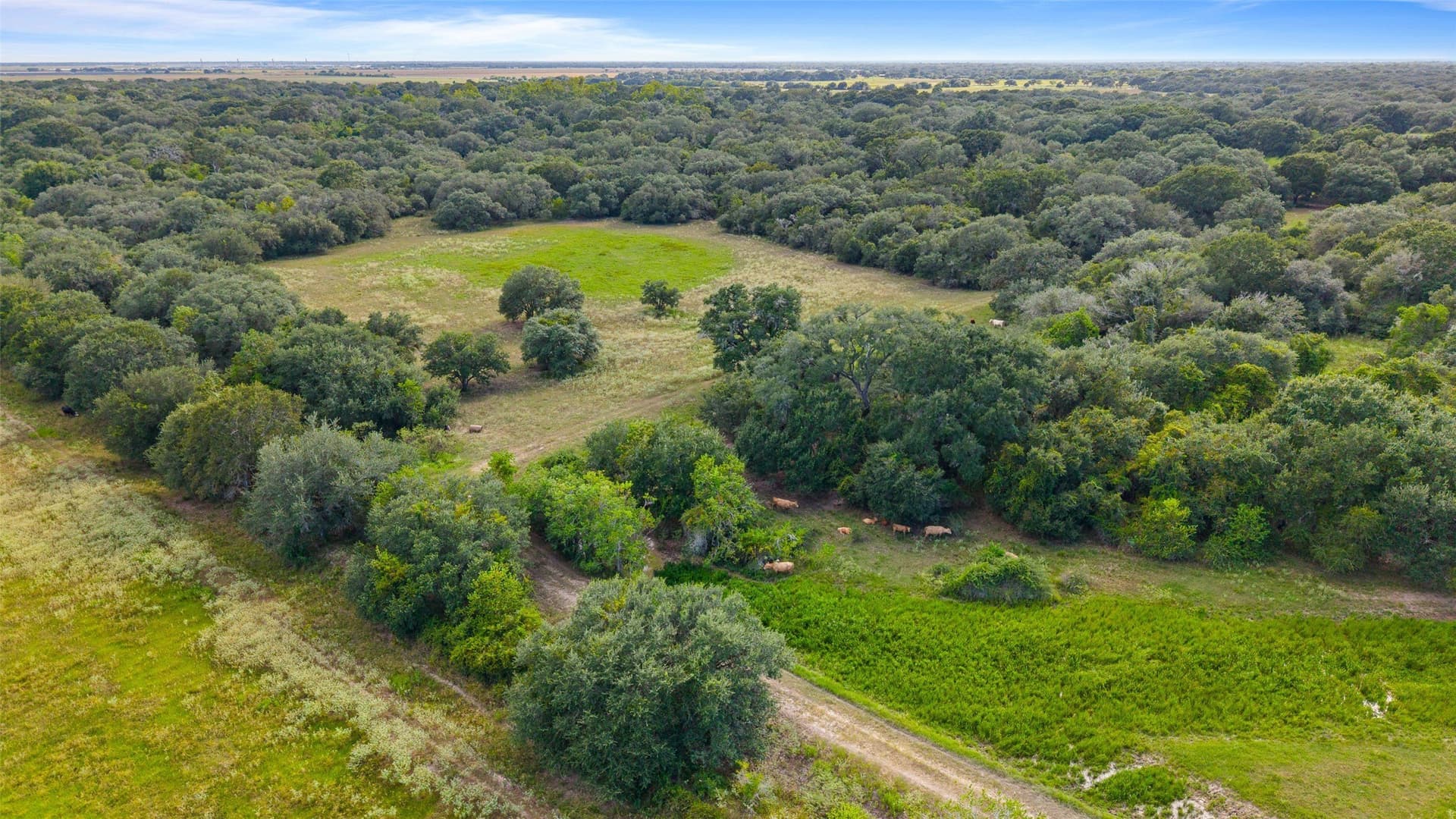 211 acres in Wharton County - photo 14
