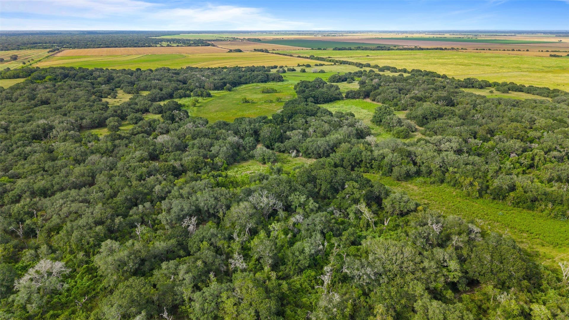 211 acres in Wharton County - photo 19