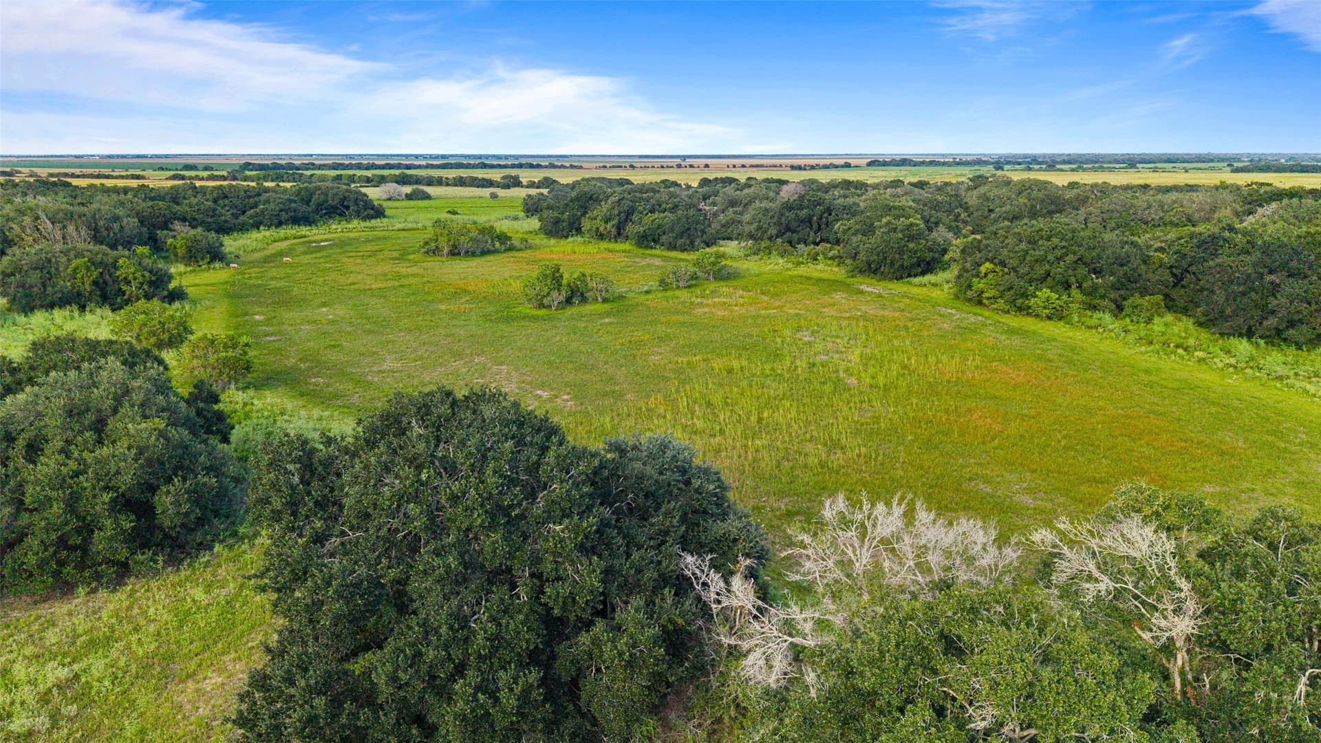 211 acres in Wharton County - photo 35