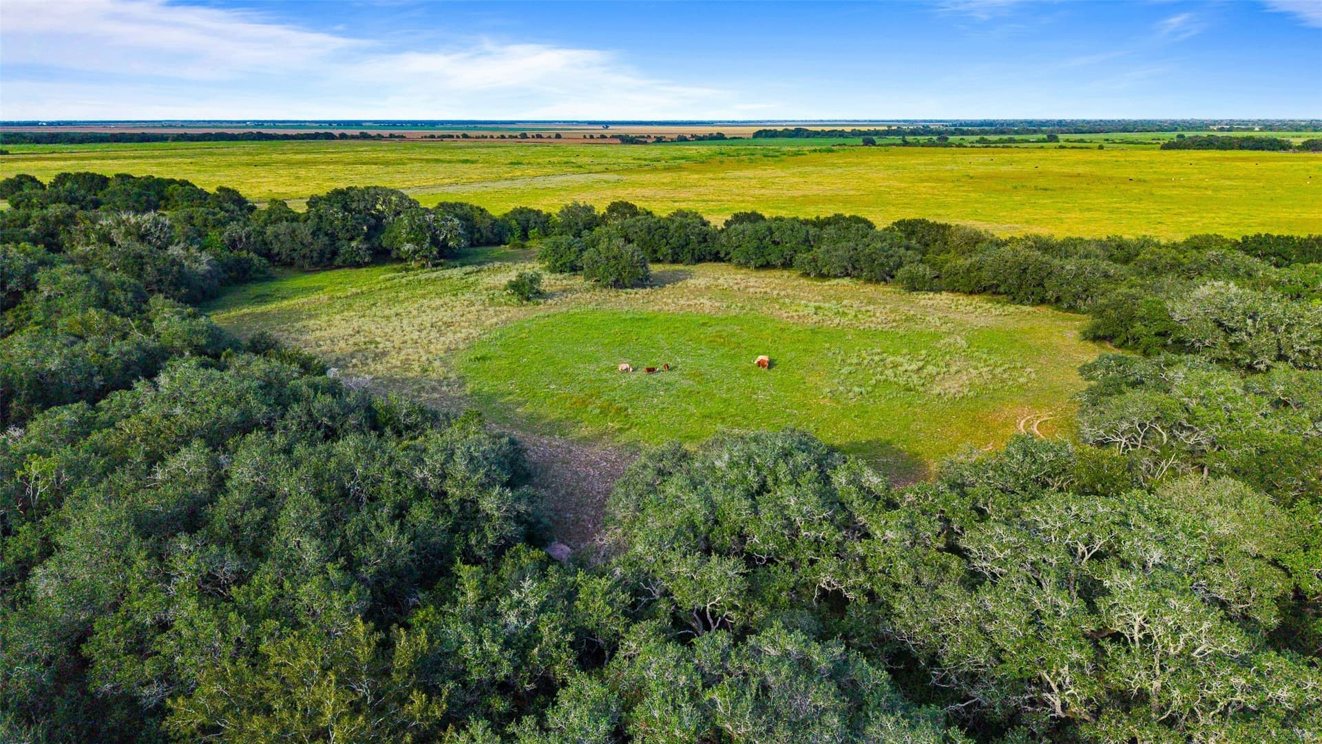 211 acres in Wharton County - photo 38