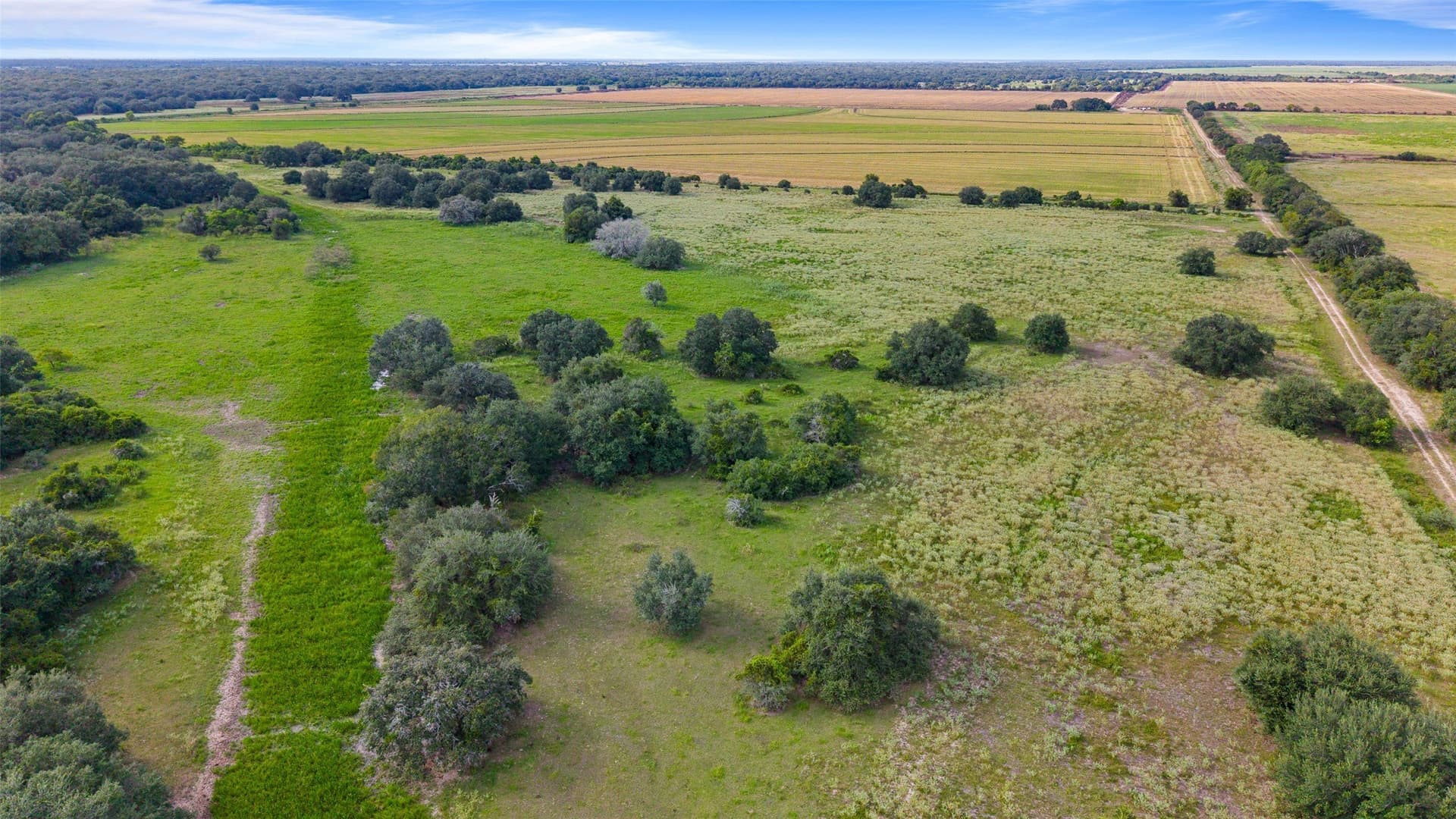 211 acres in Wharton County - photo 12