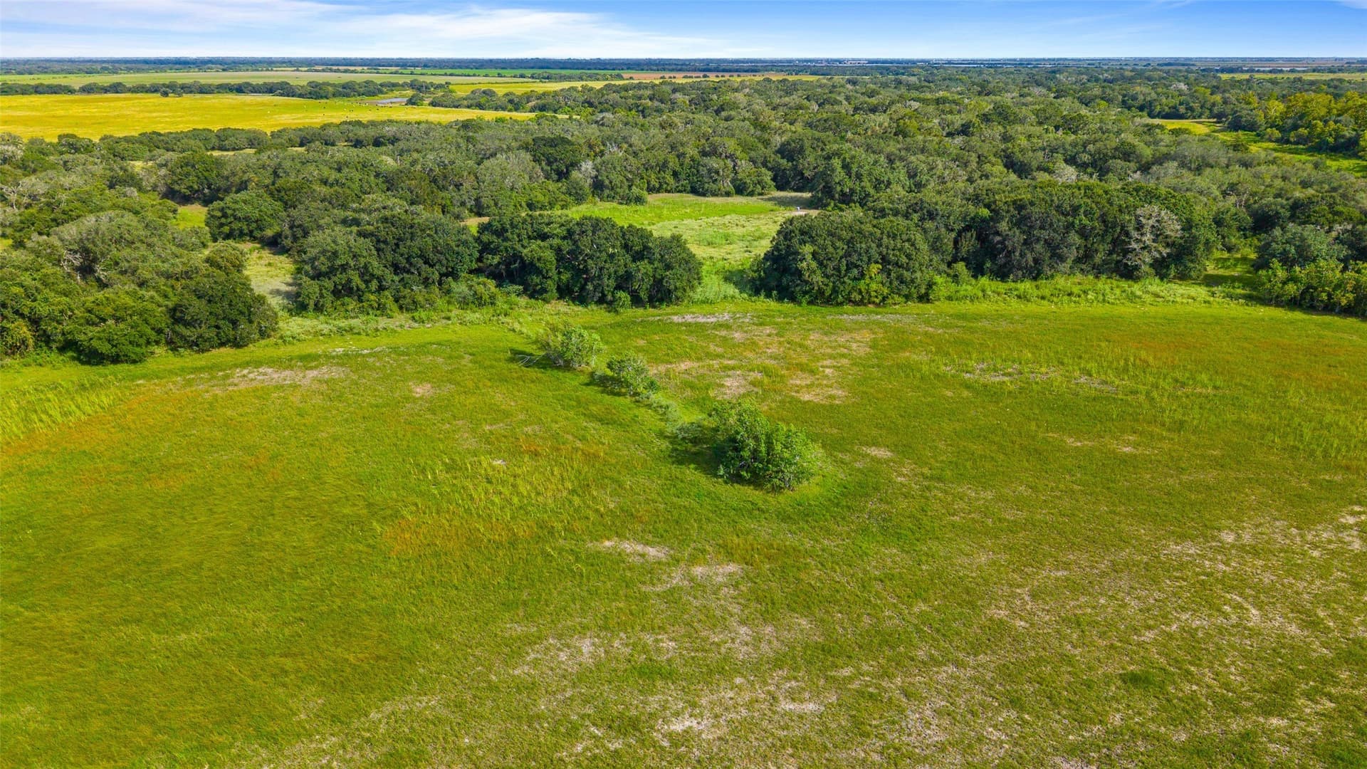211 acres in Wharton County - photo 10