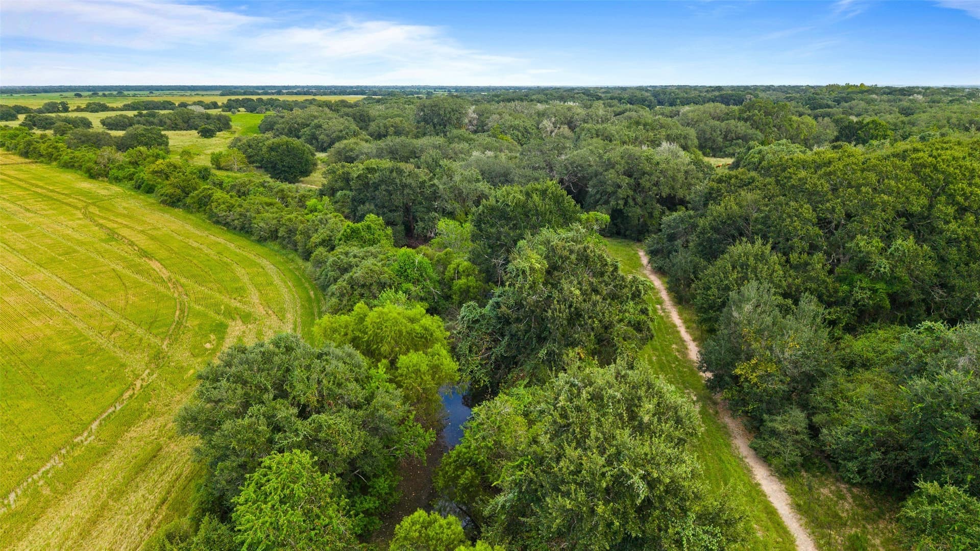 211 acres in Wharton County - photo 24