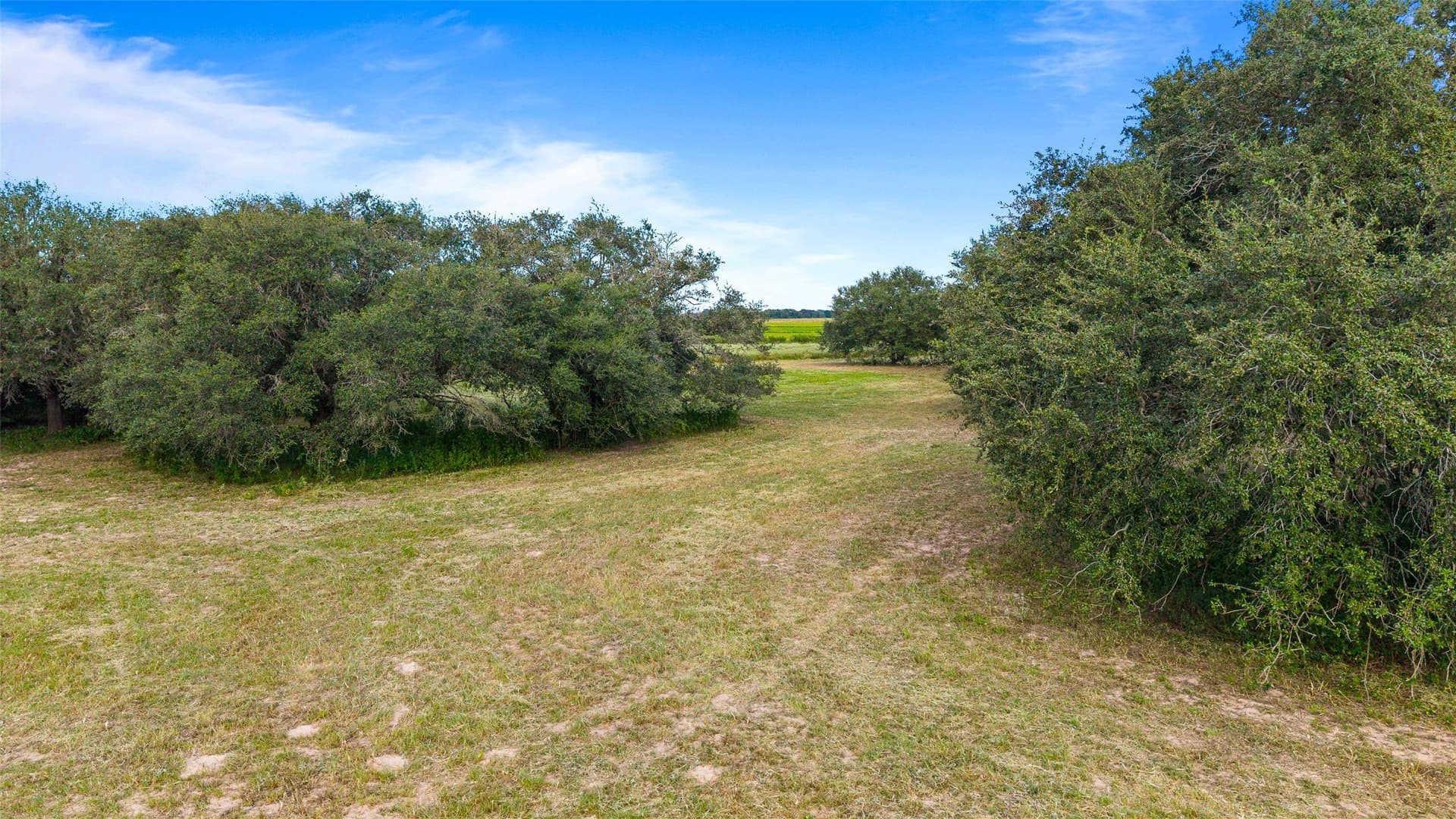 211 acres in Wharton County - photo 28