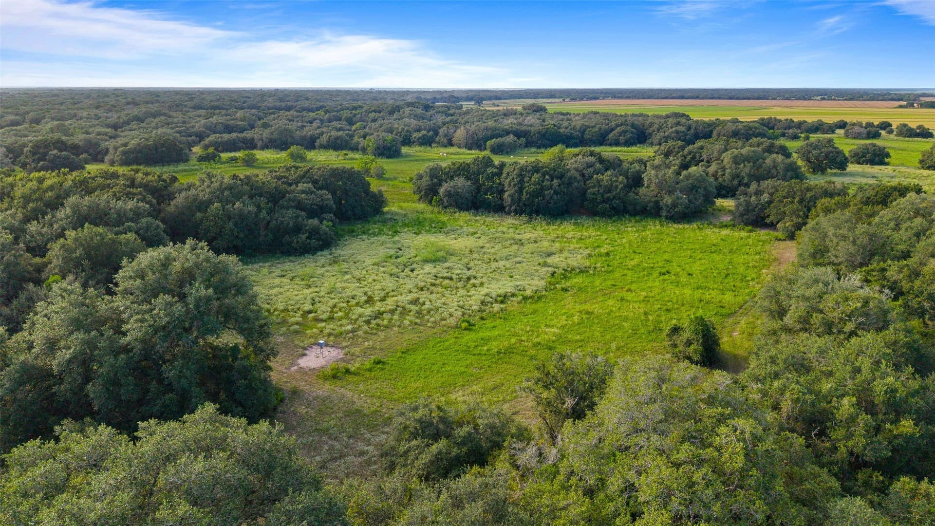 211 acres in Wharton County - photo 37