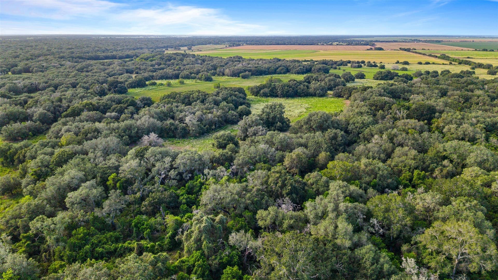 211 acres in Wharton County - photo 36